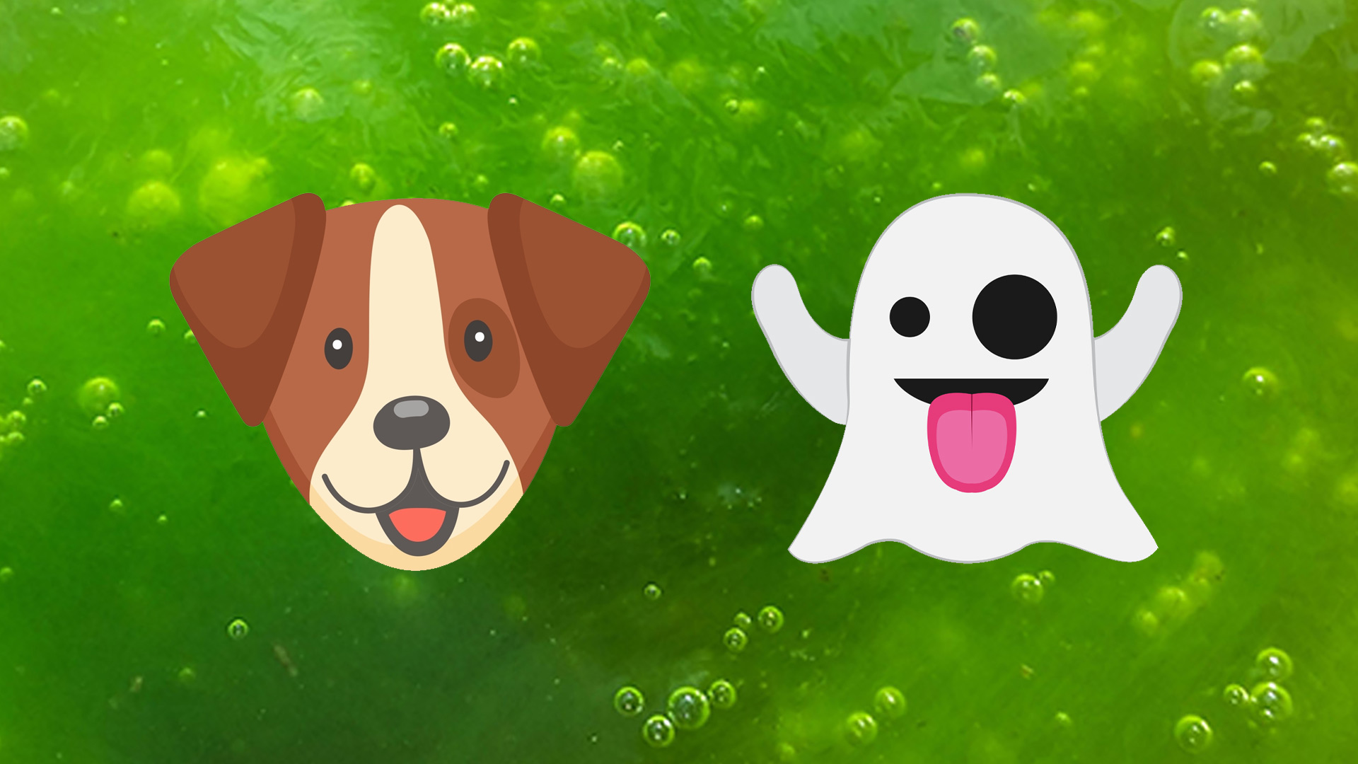 Emojis: a dog and a ghost