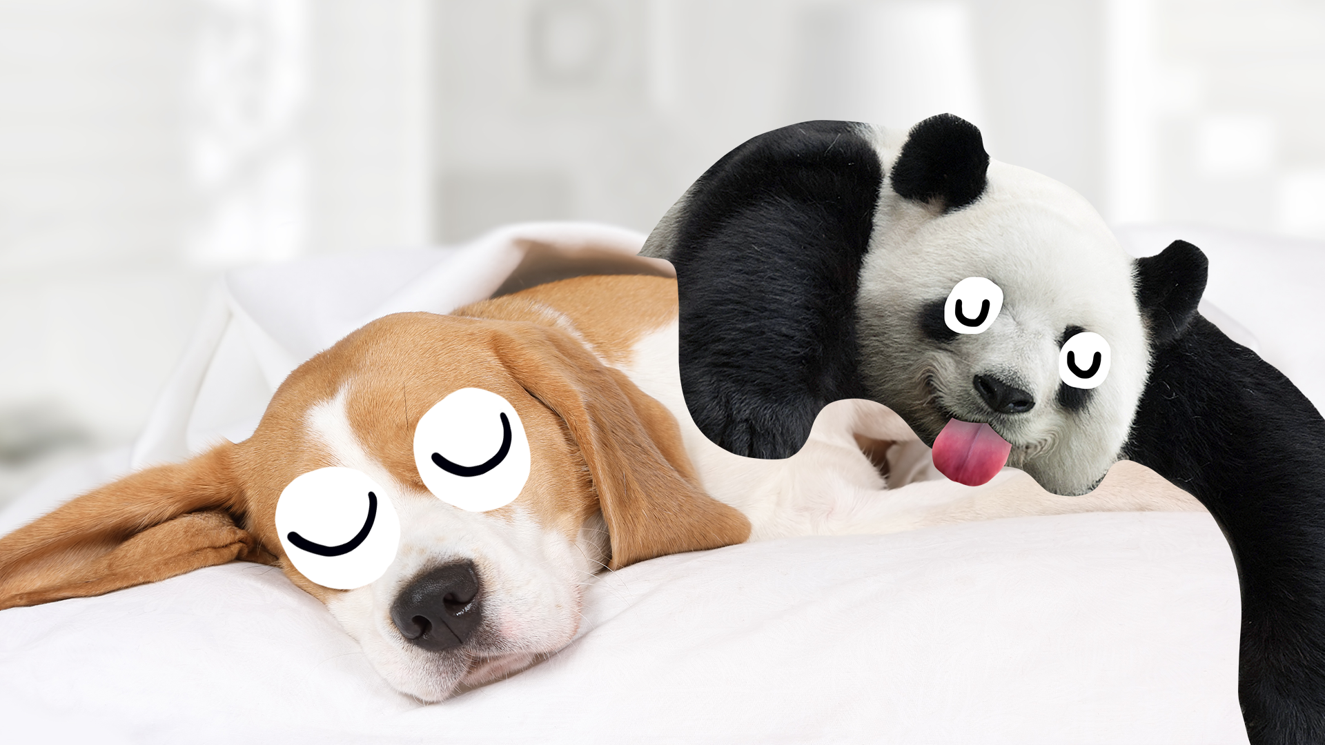 Sleepy dog and panda