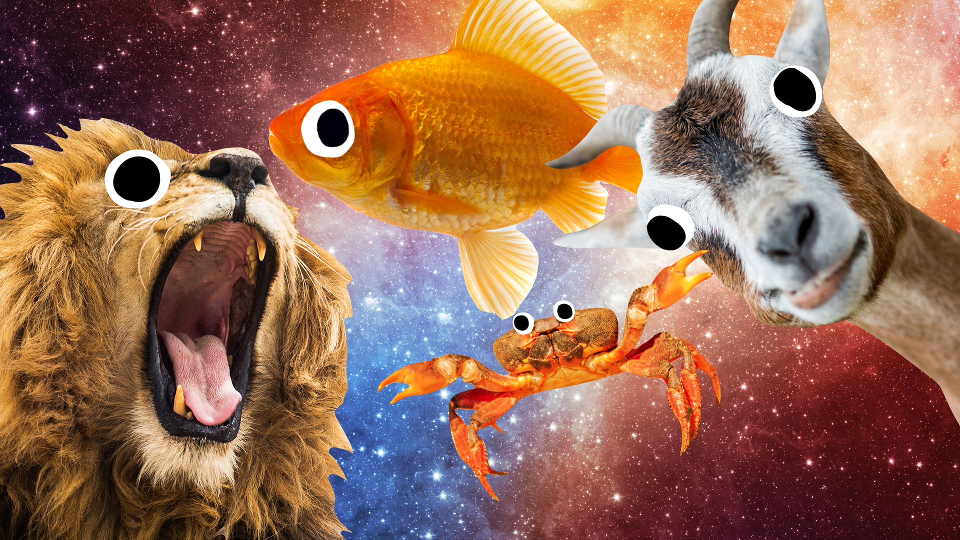 Beano star sign animals on space background