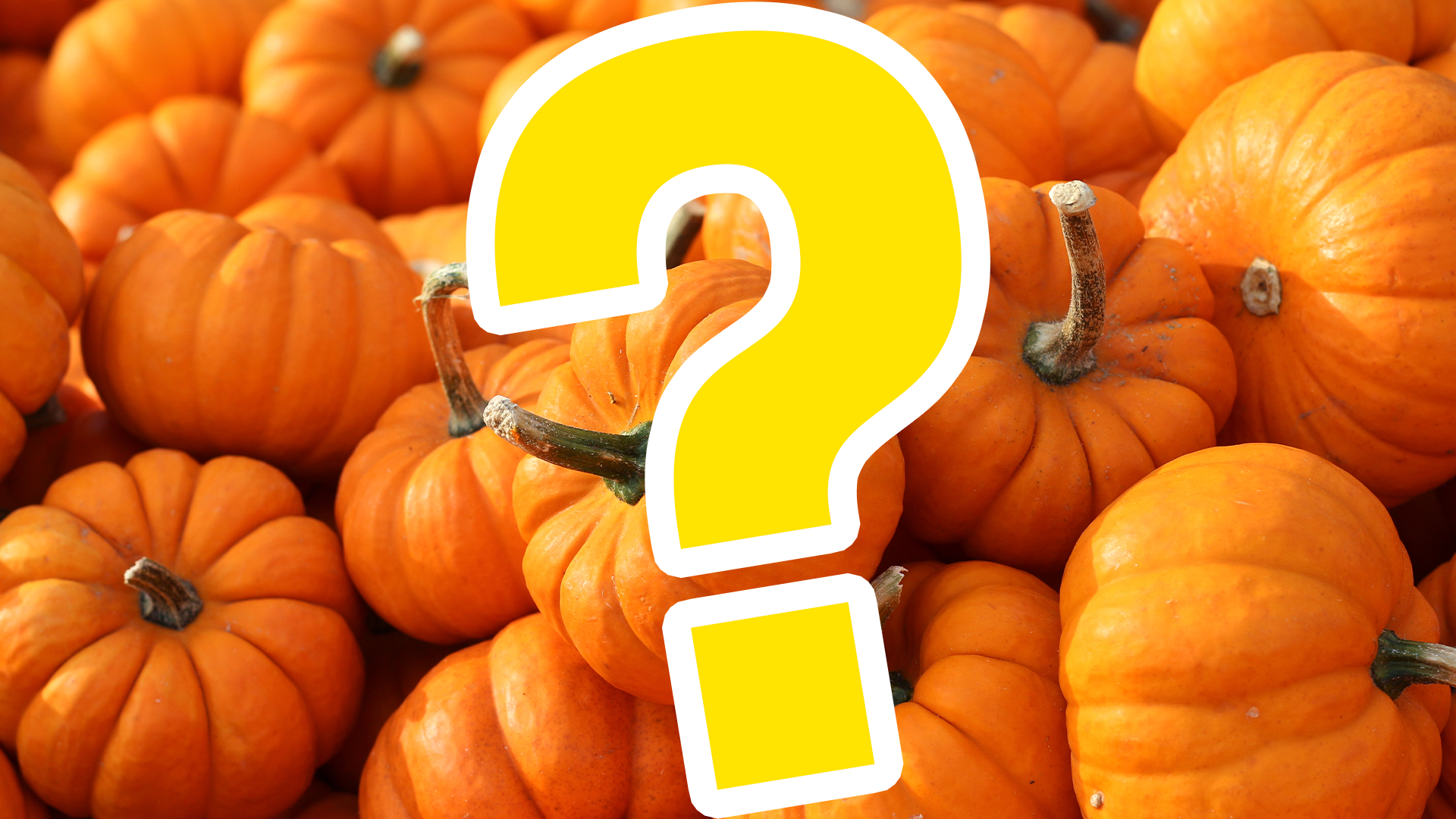 Question mark on pumpkin background