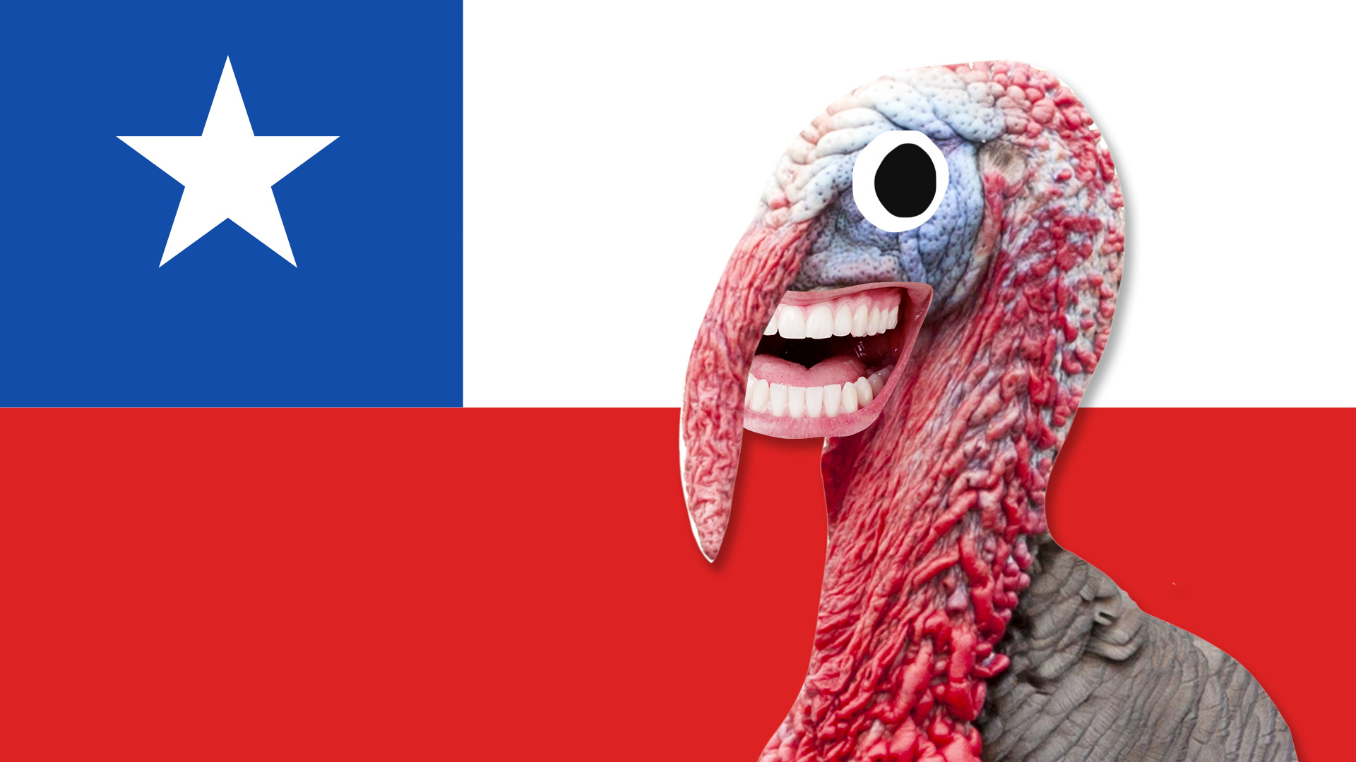 A turkey in front of a Chile flag