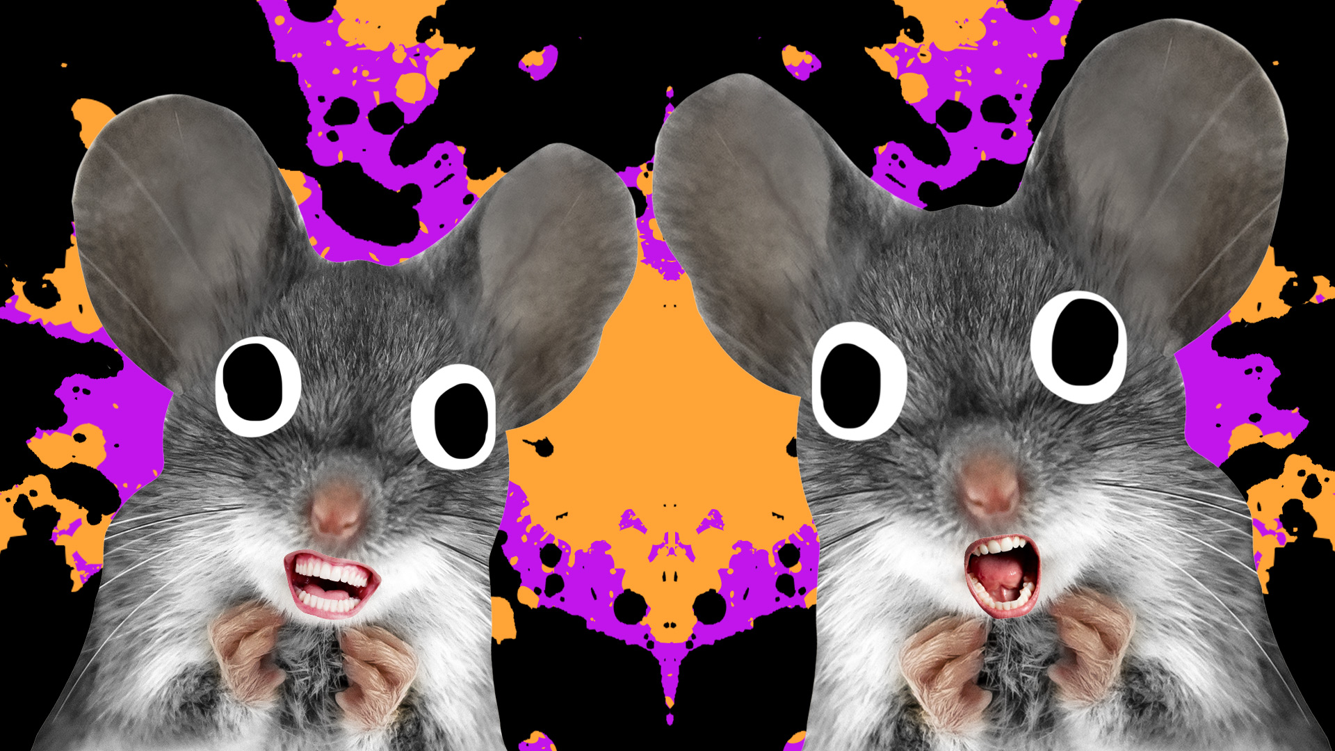 Two mice on a Halloween background