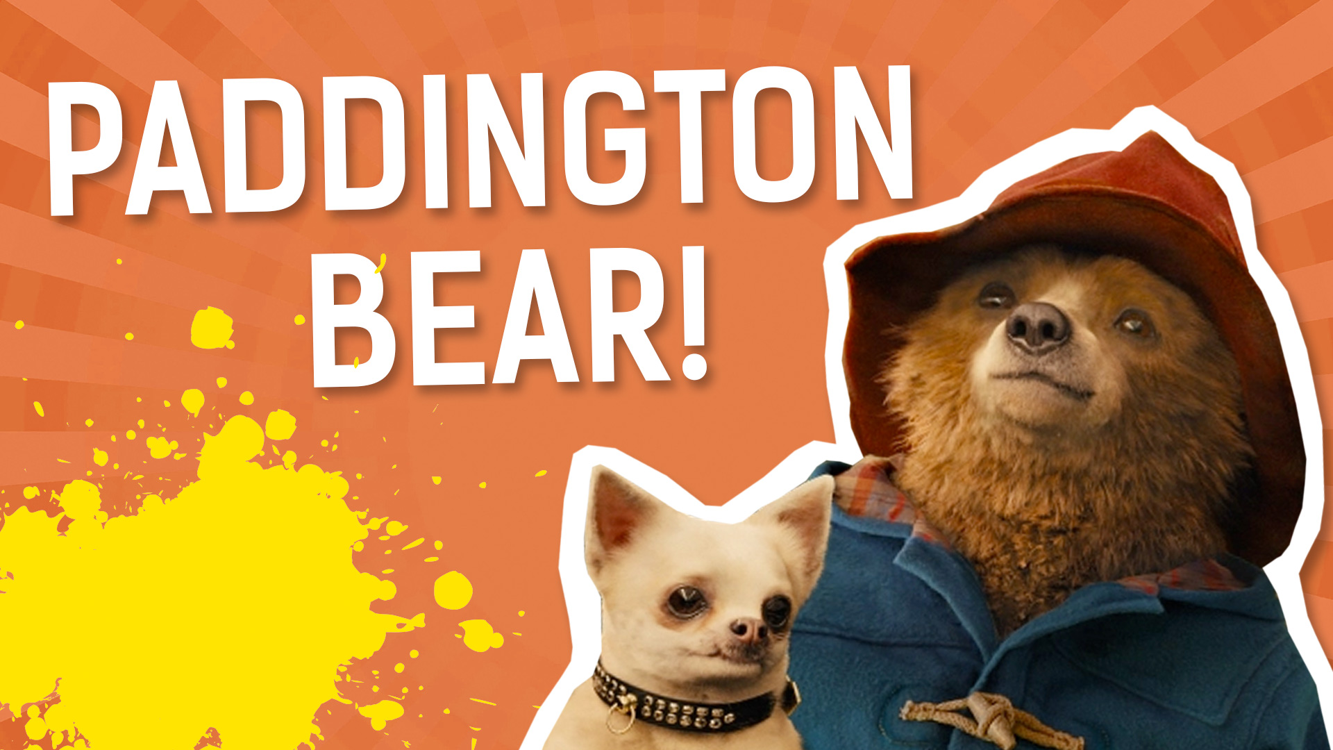 Result: Paddington Bear