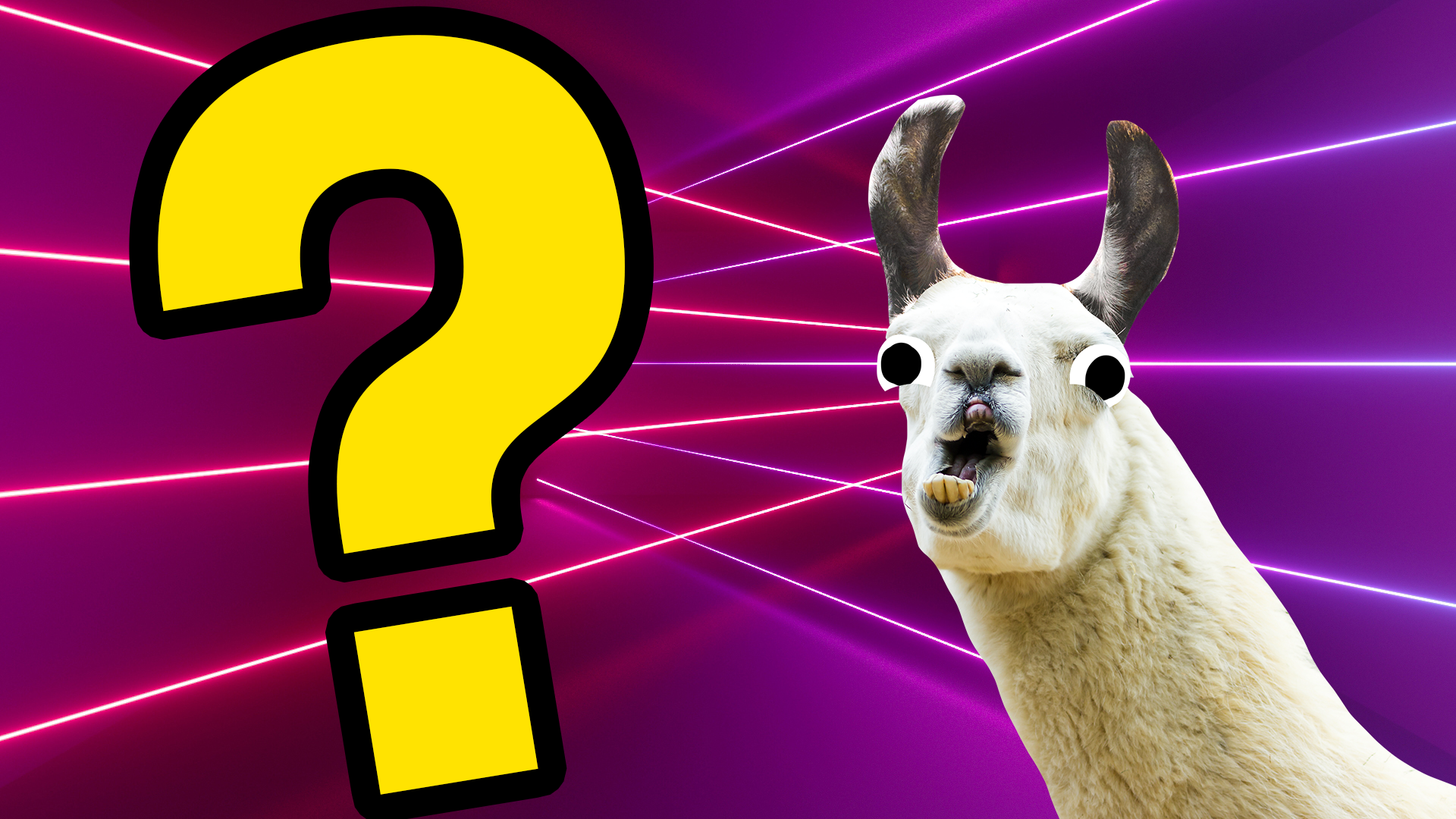 Derpy llama and question mark