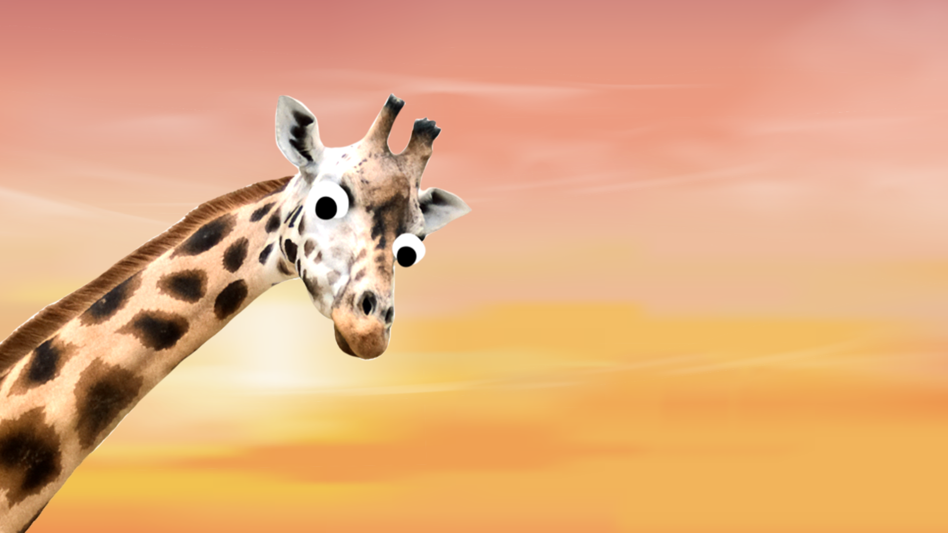 Derpy giraffe in the sunset