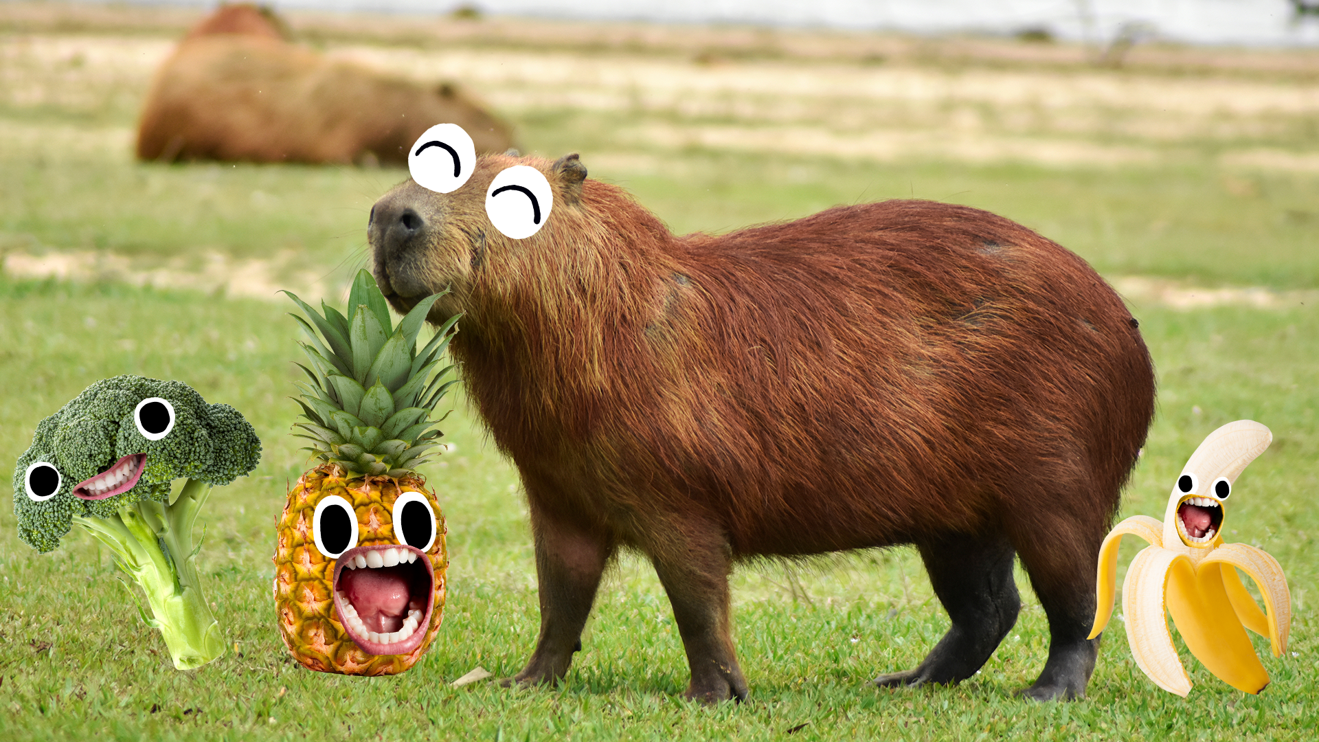 4 capybara facts you'll love, and 1 you'd like to forget