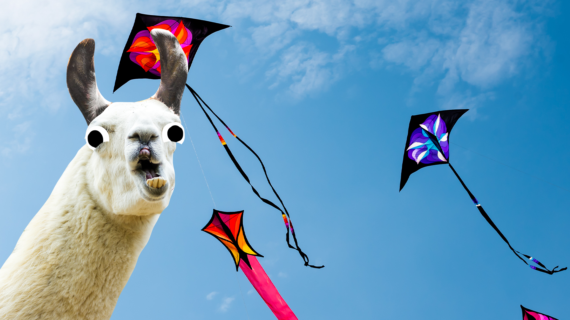 Kites and llama