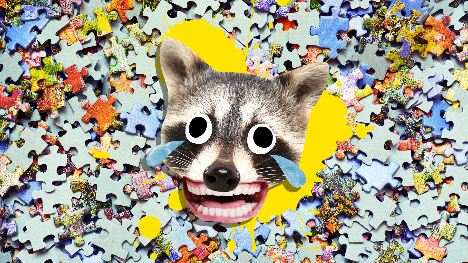 A racoon with a jigsaw background