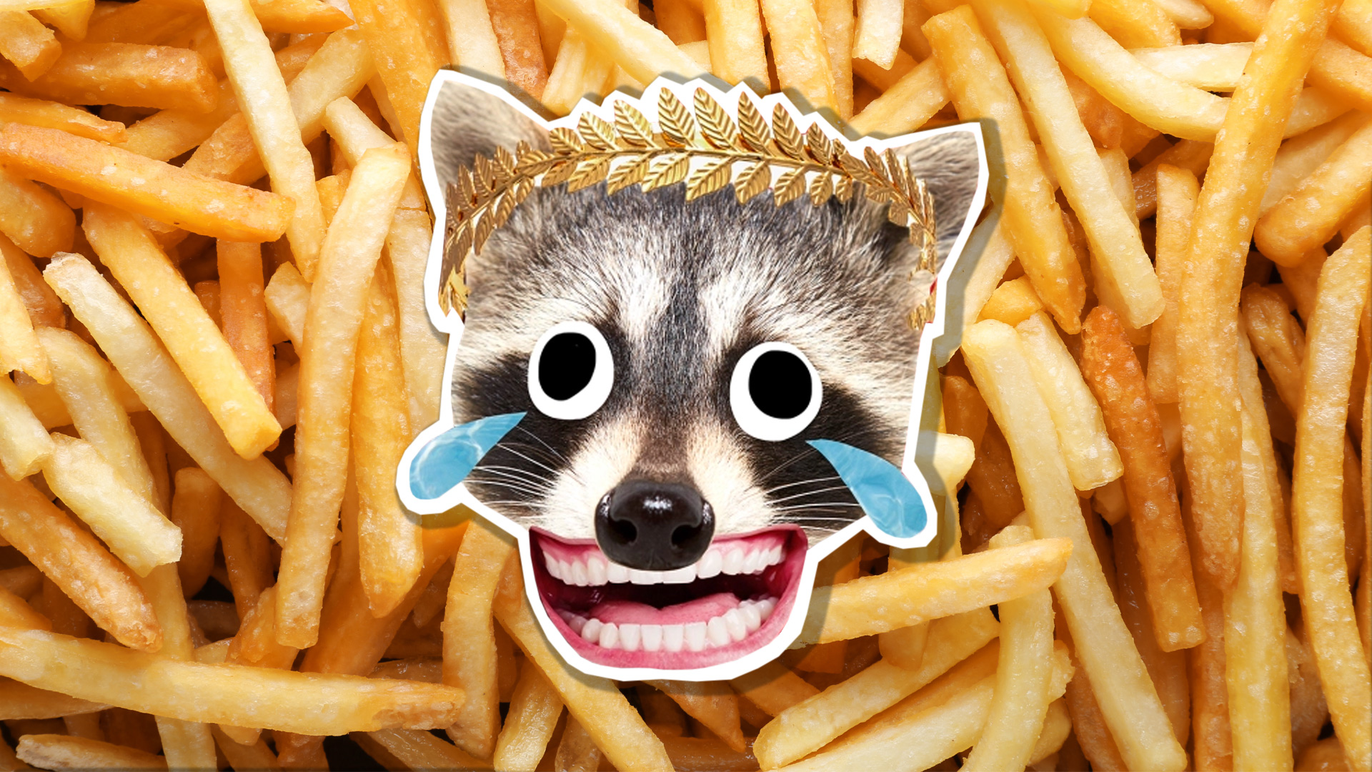 An emperor racoon and a pile of chips