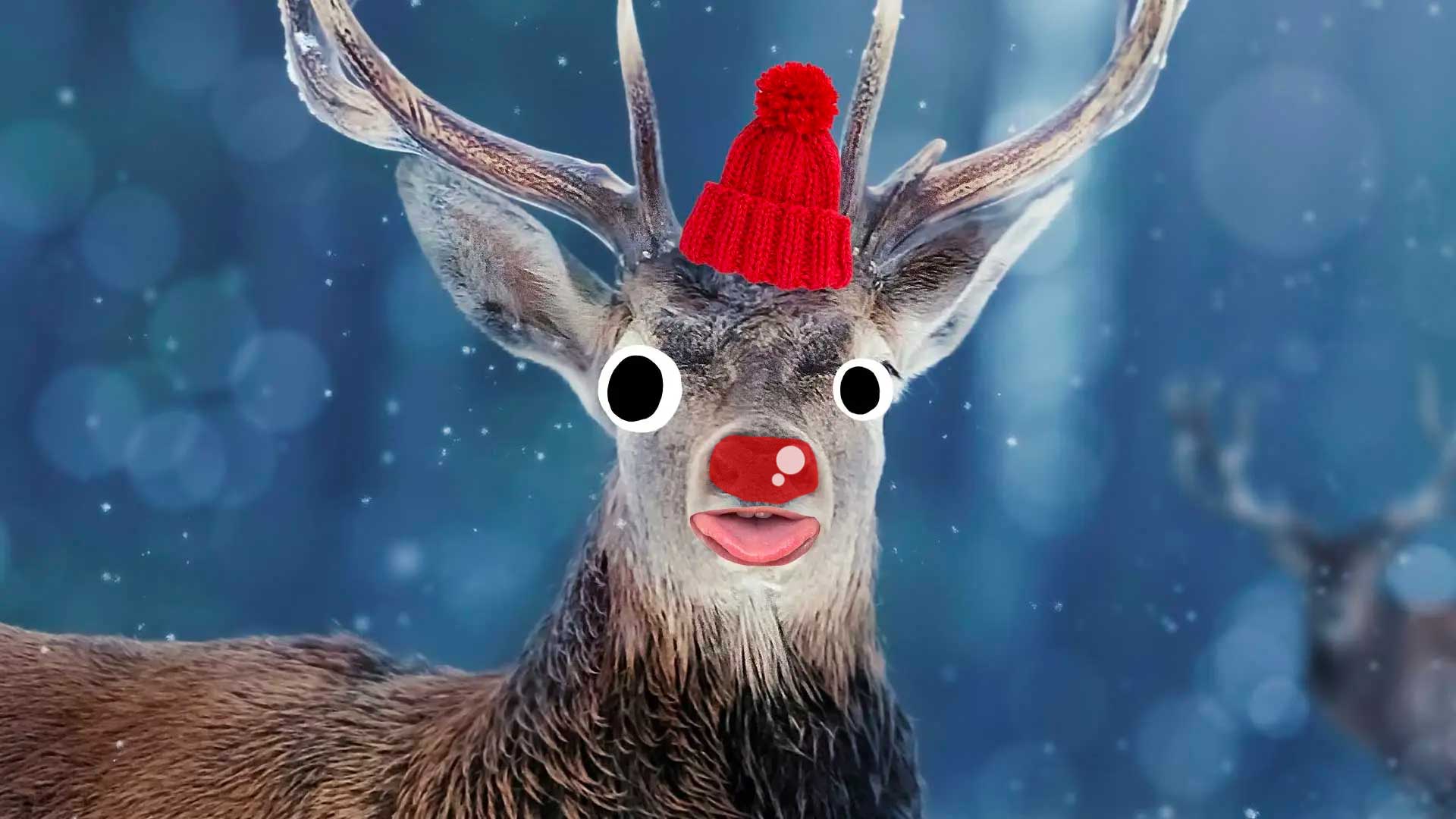 Rudolph the red-nosed reindeer