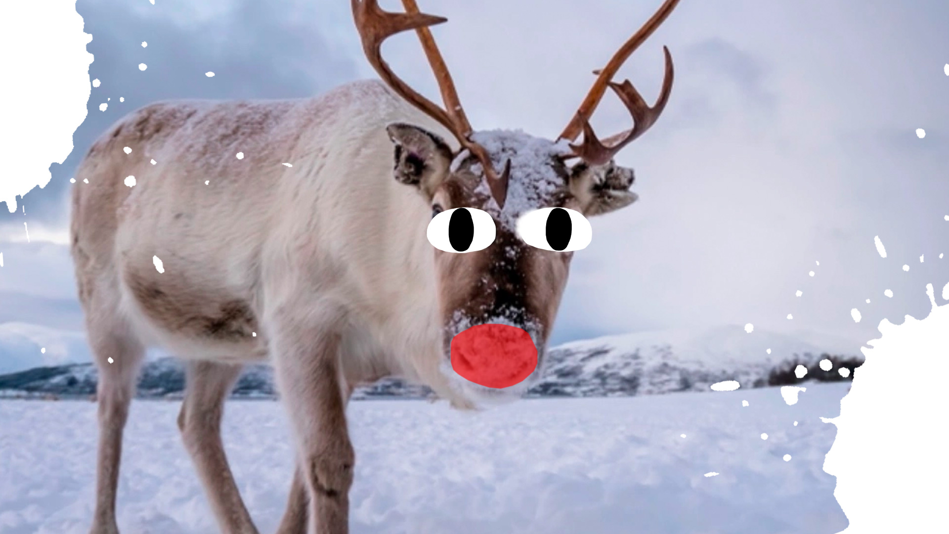 Rudolph