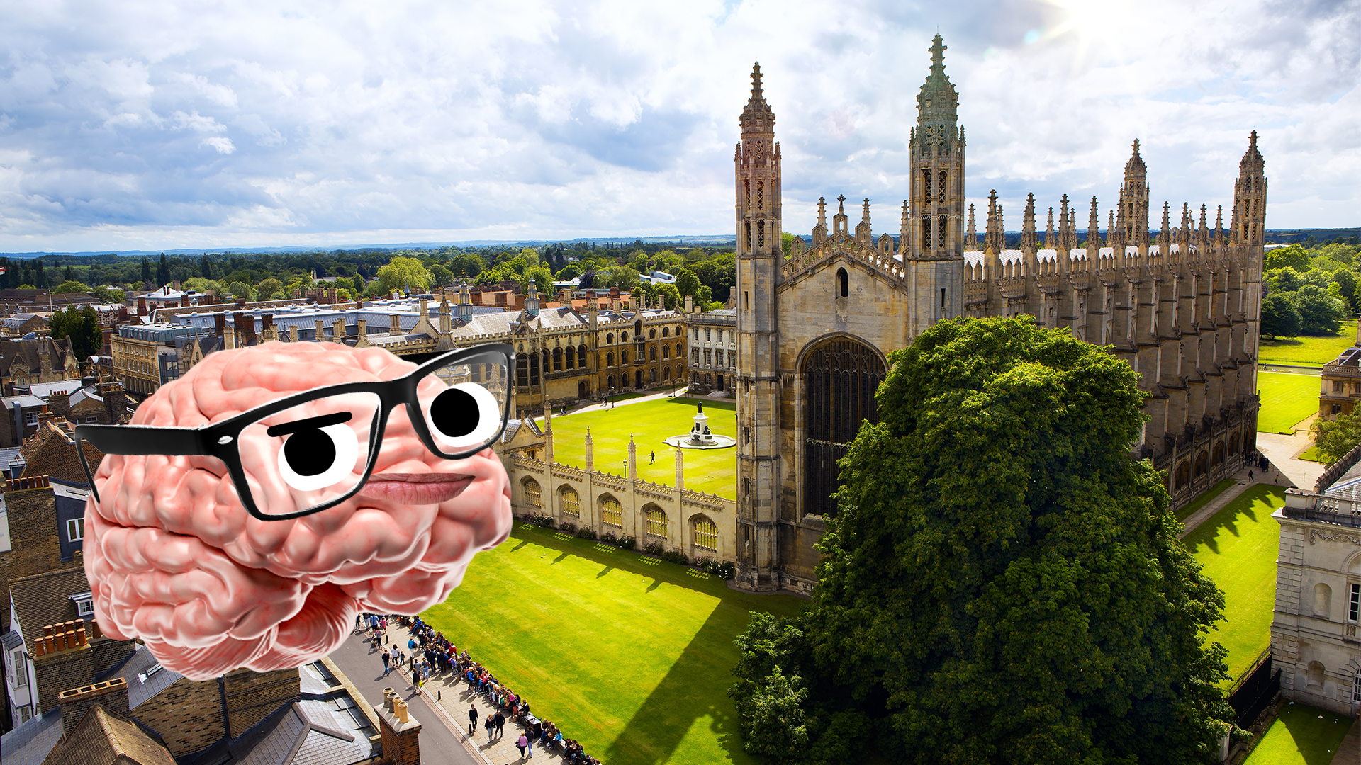 A serious brain looks over Cambridge