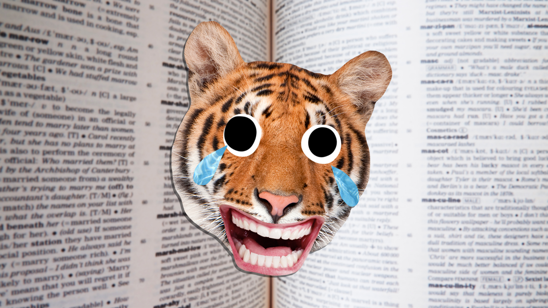 A laughing tiger and a dictionary in the background