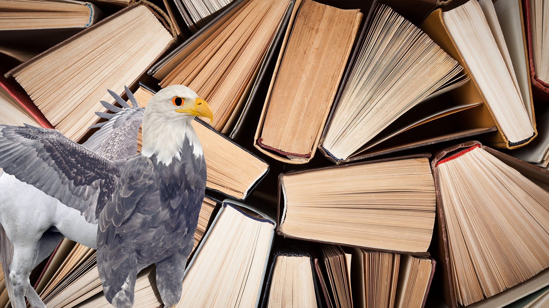 A hippogriff observes a selection of old books