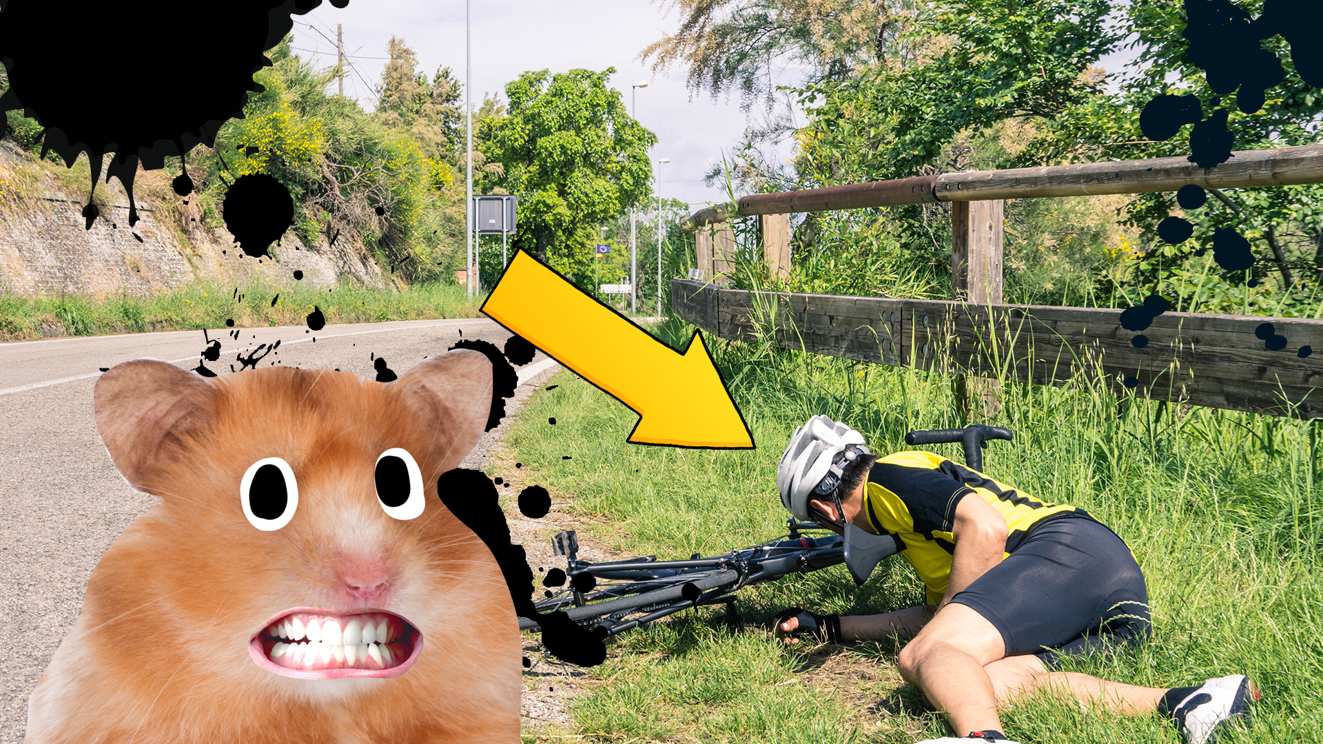 A cyclist has fallen over on soft grass
