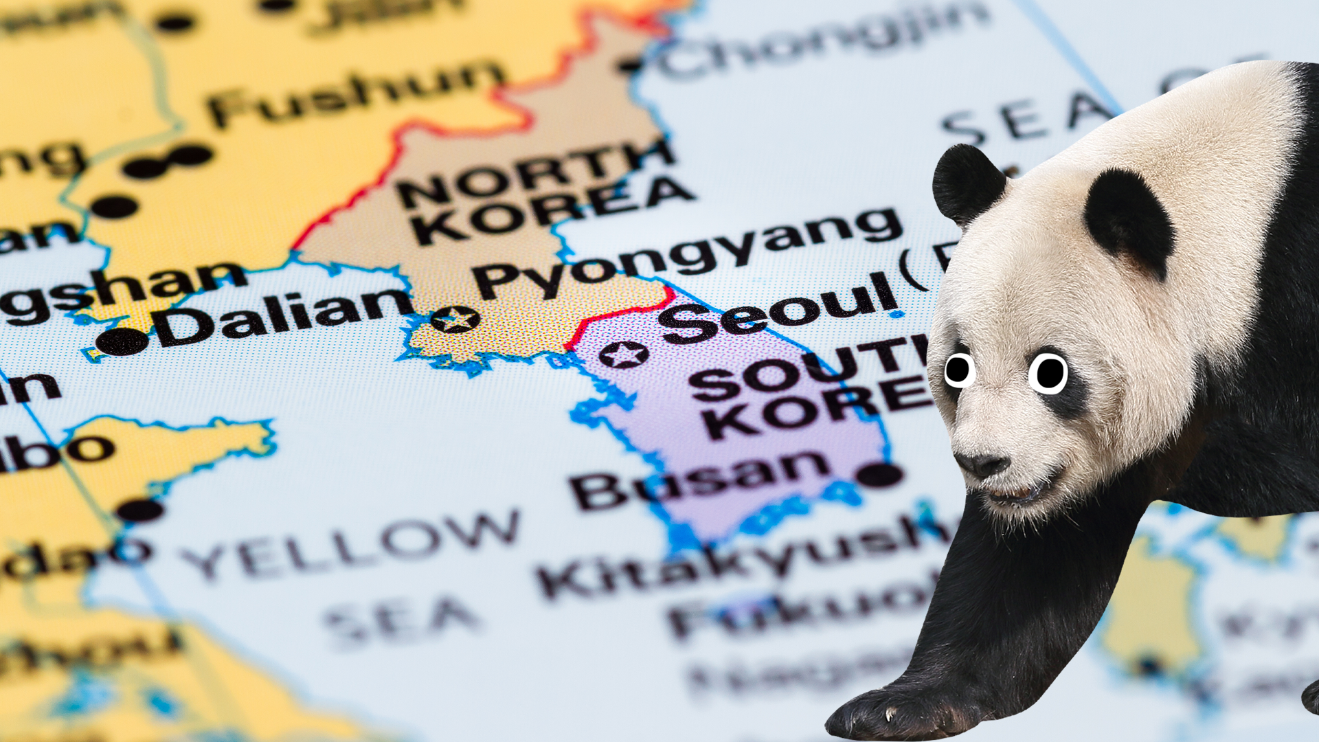 Map of Korea and Beano panda