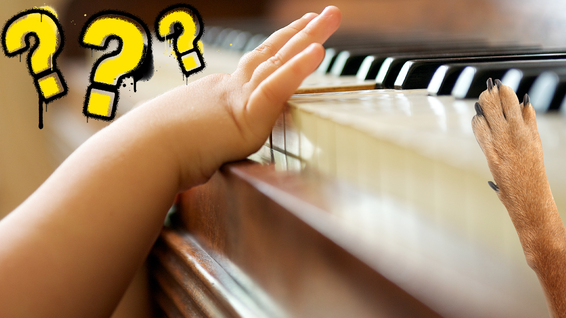 Child's hands and dog paw playing piano with question marks