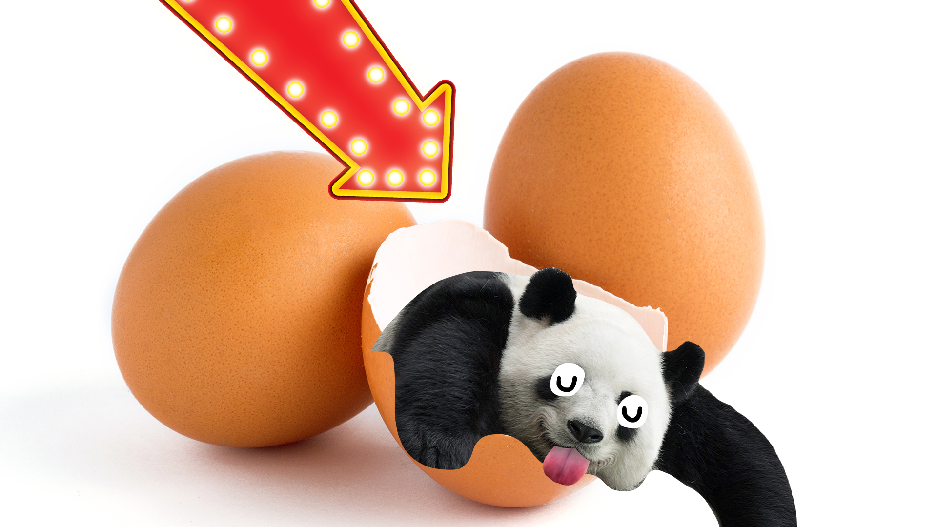 Panda popping out of egg with arrow