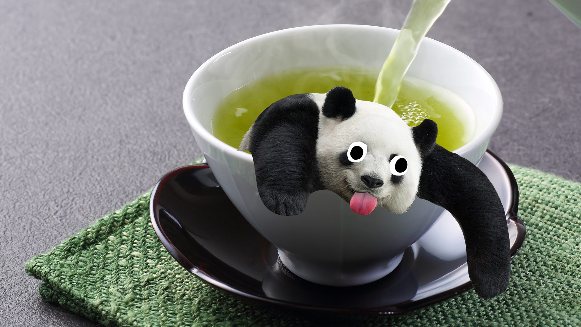 Derpy panda in a cup of tea
