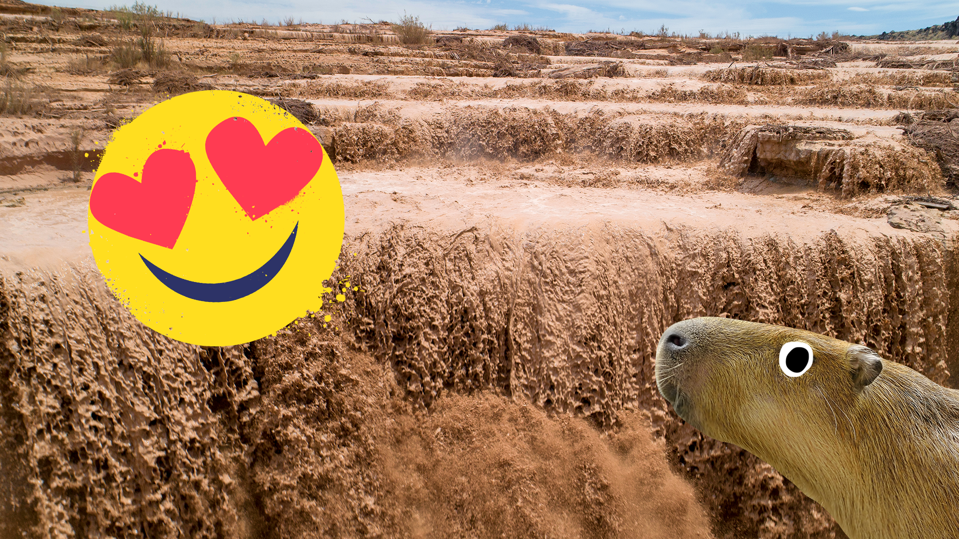 Chocolate river with emoji and capybara