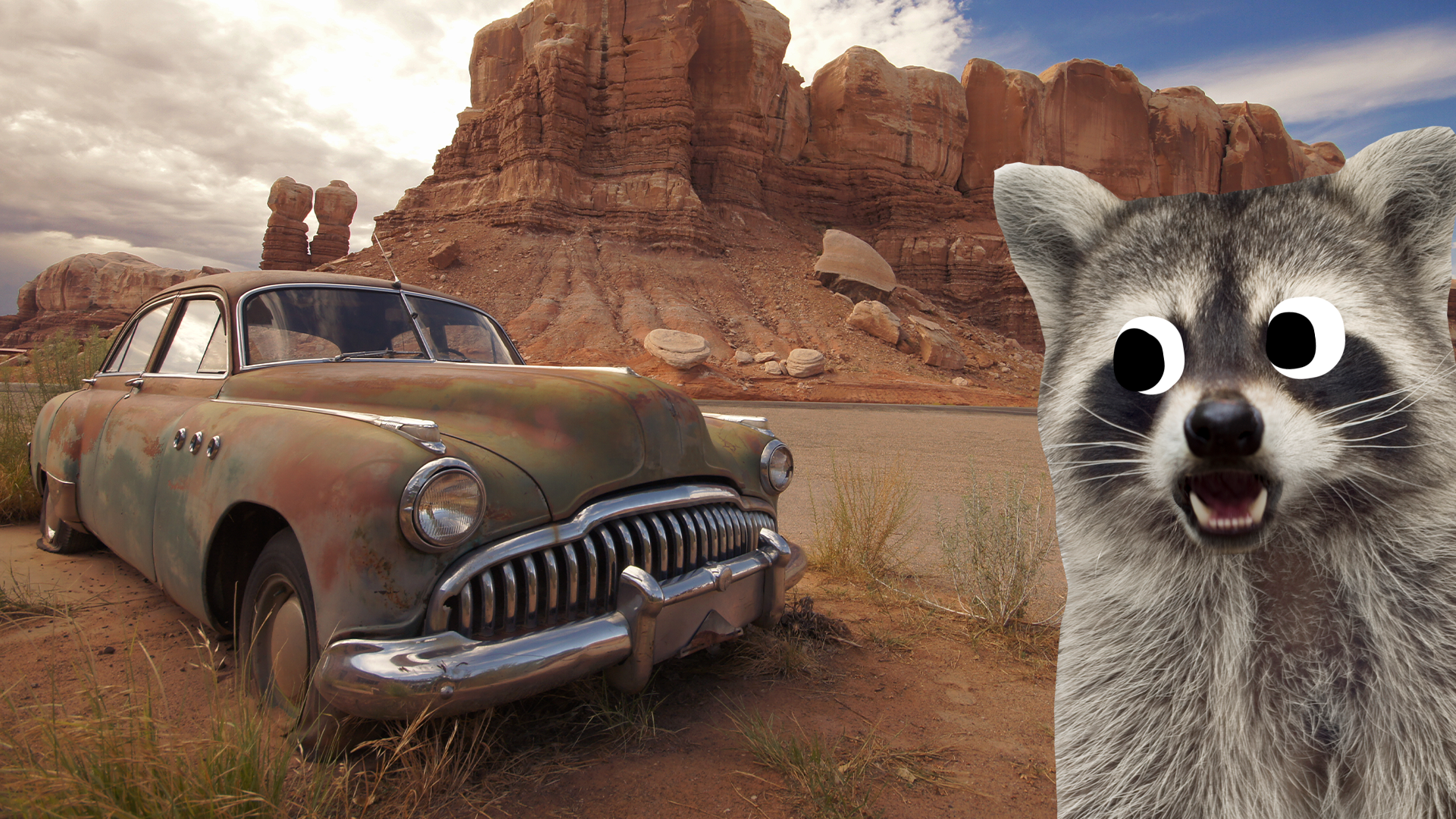 Rusty car in desert with Beano raccoon 