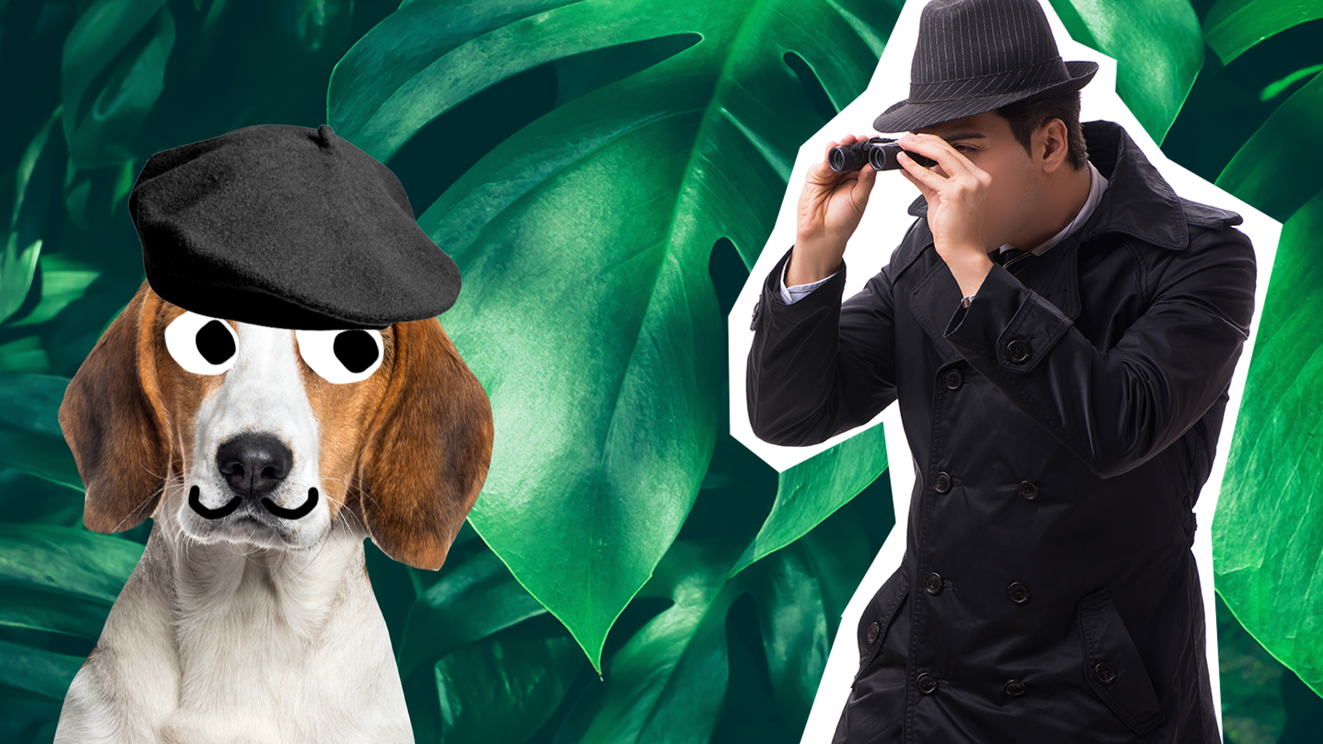 Spy spying on dog on leaves background