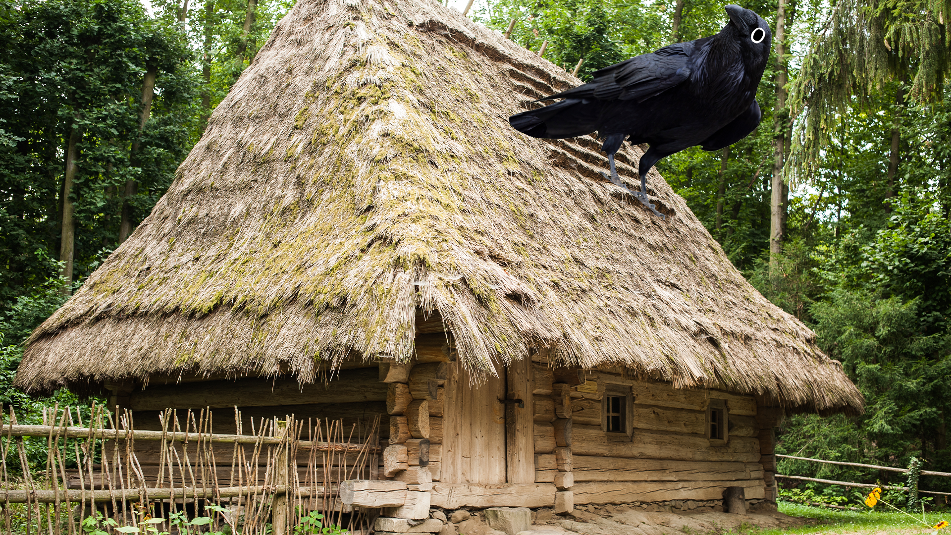 Thatched cottage and Beano crow