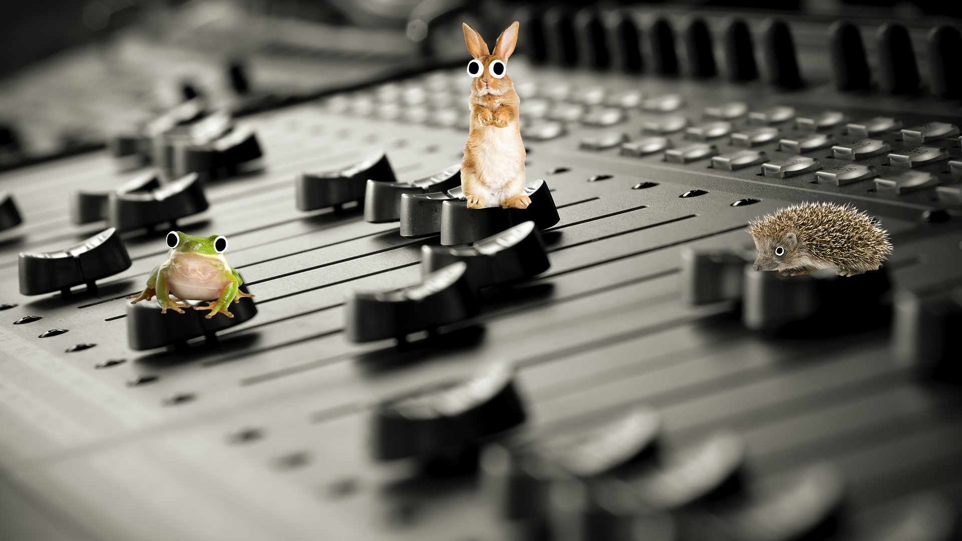 Beano animals on music controls