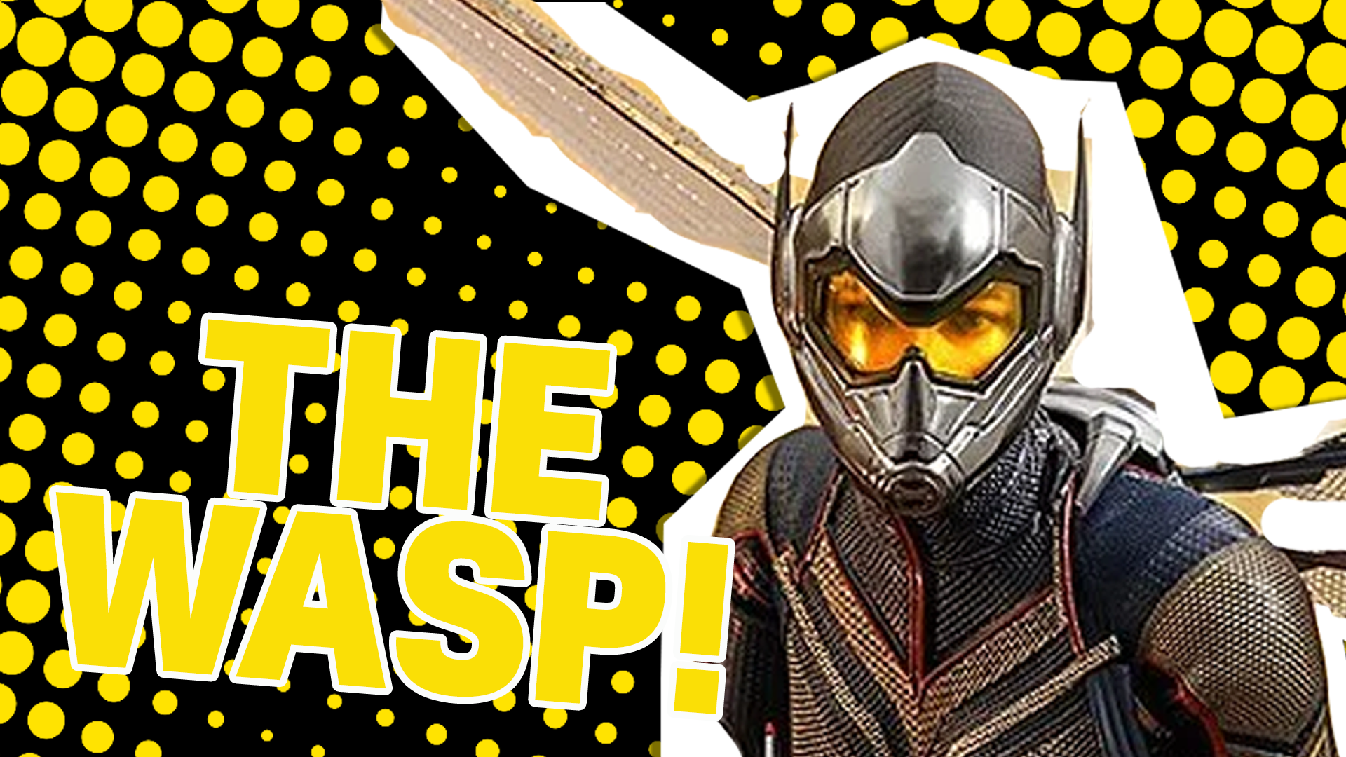 The Wasp result