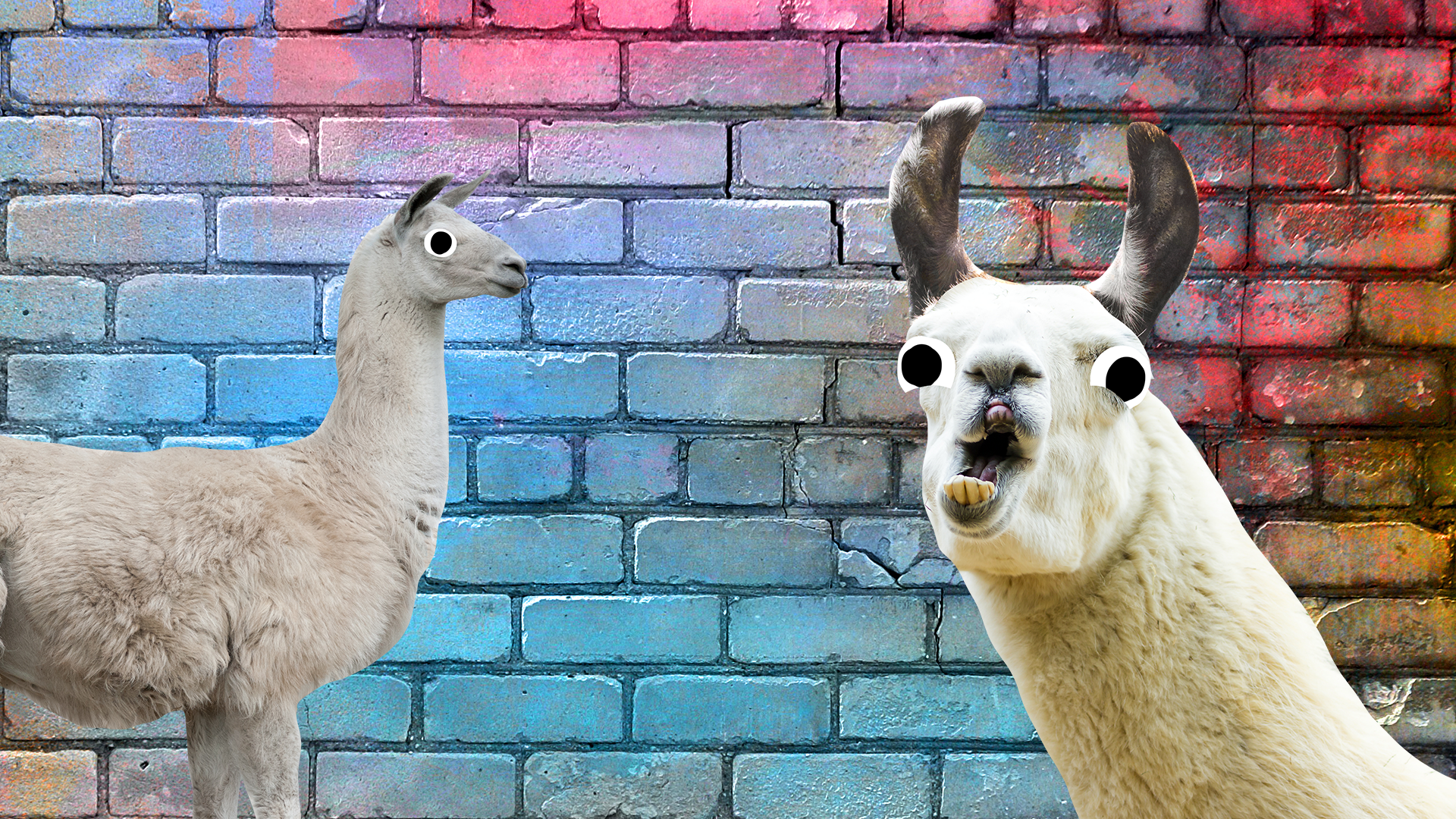 Two derpy llamas on brick background
