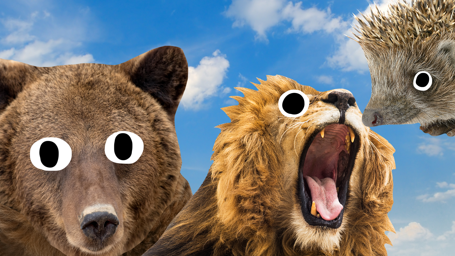 Beano bear, lion and hedgehog on sky background