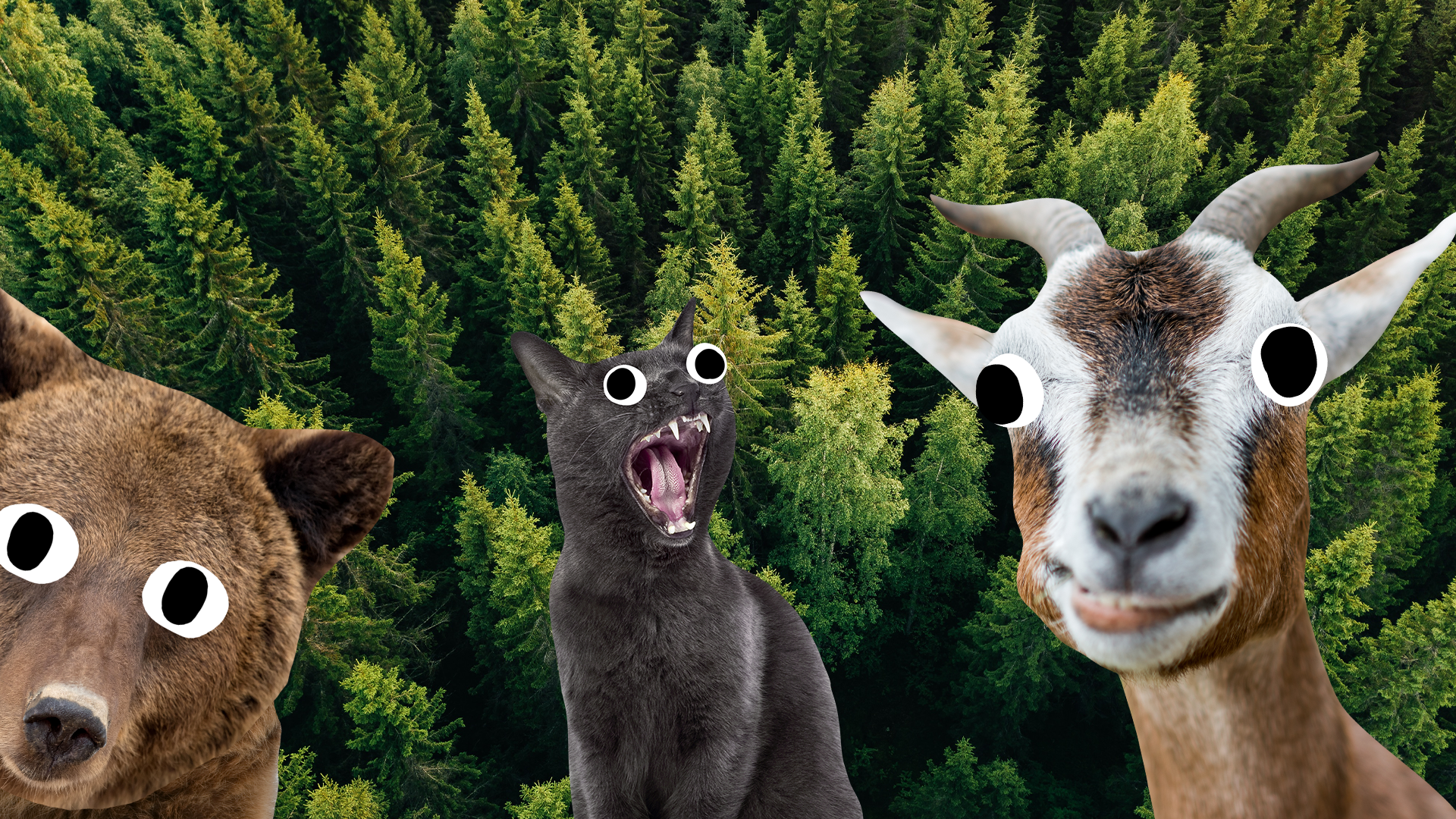Bear, cat and goat on tree background
