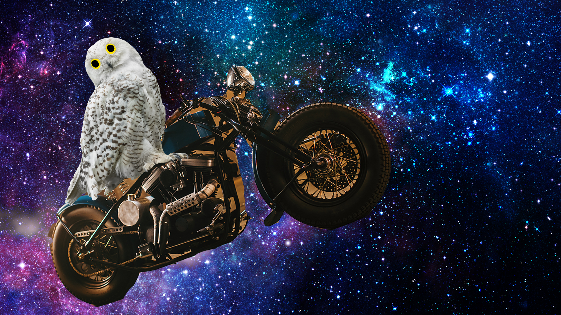 Hedwig riding a flying motorbike through the starry sky