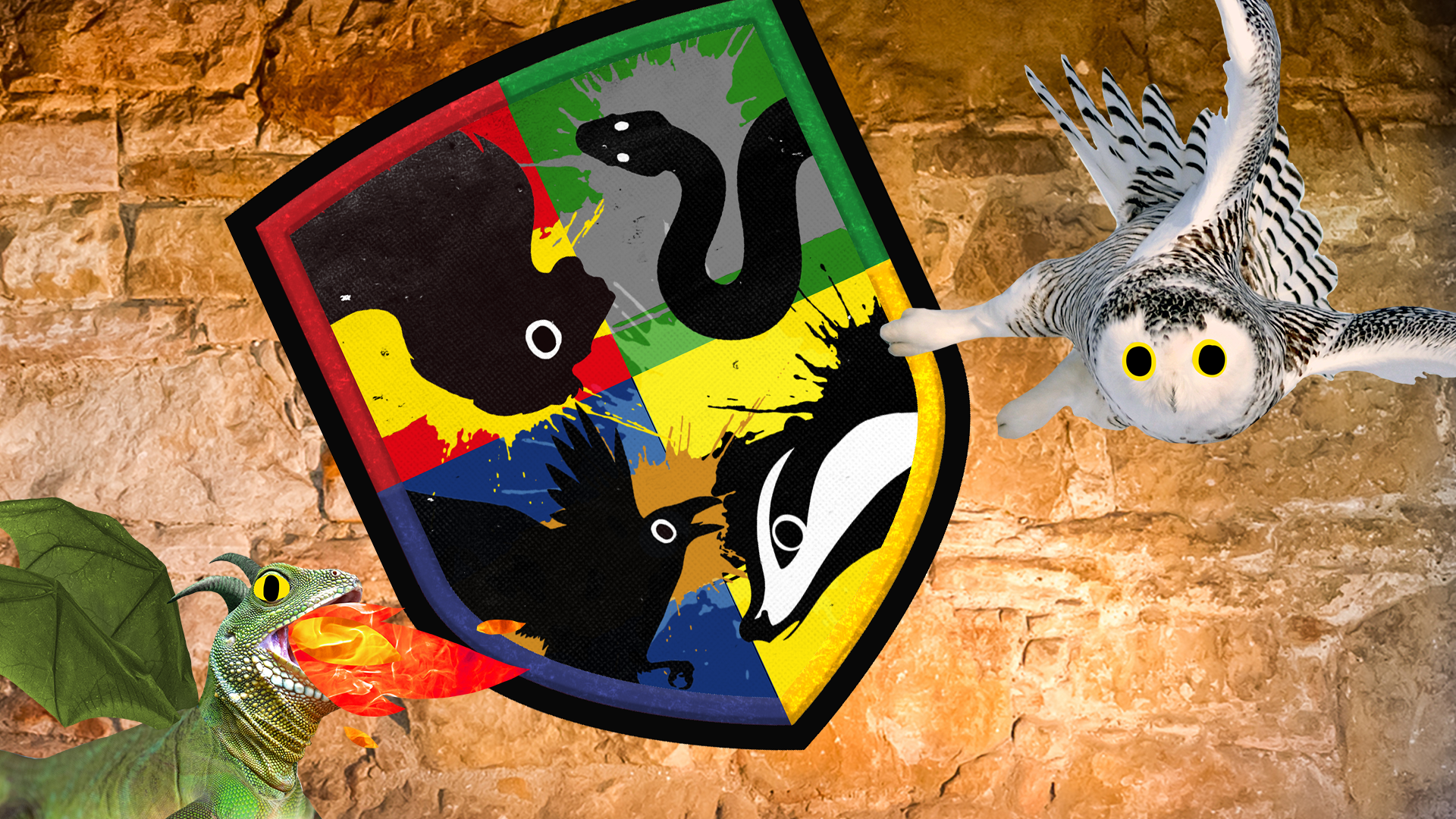 Dragon owl and Hogwarts shield on stone background