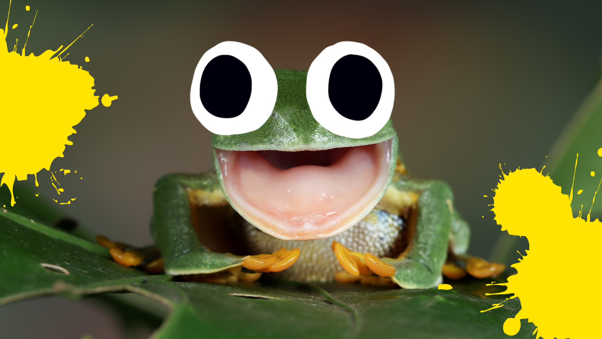 Goofy frog with yellow splats