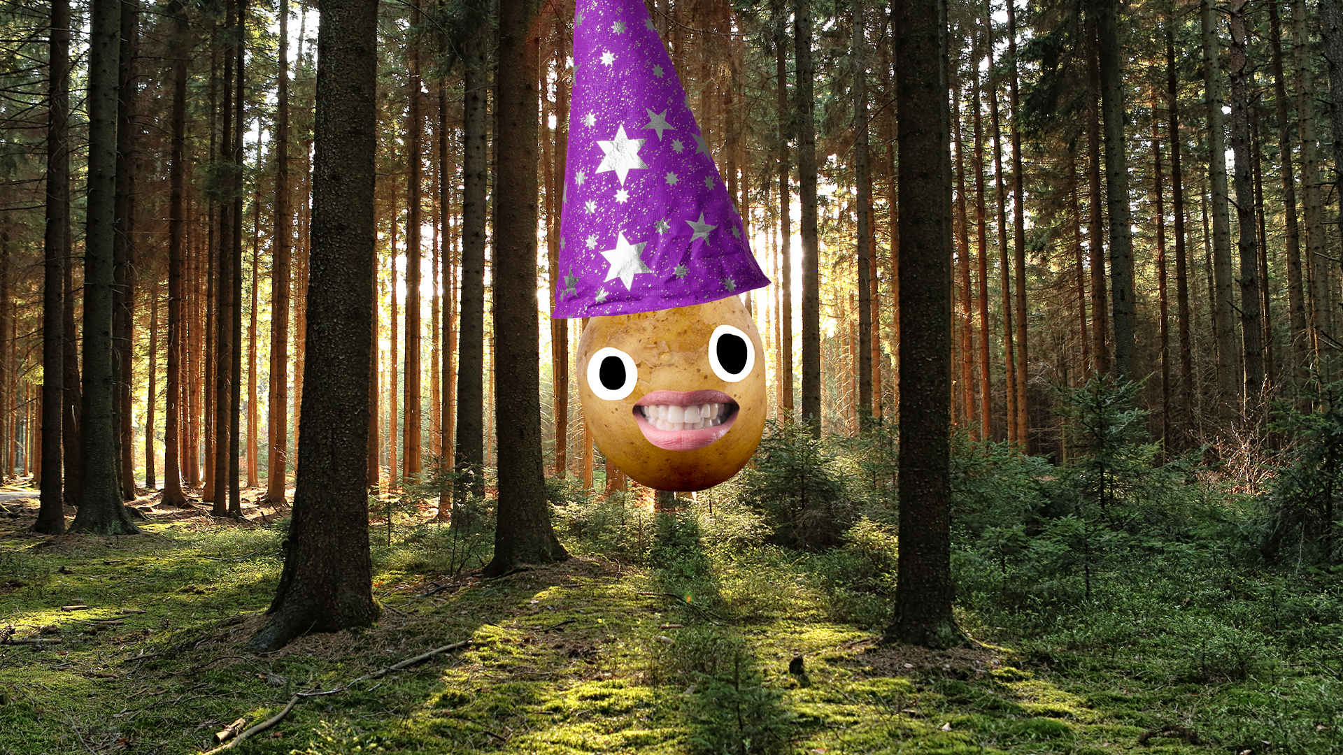 A Beano potato wizard in a forest