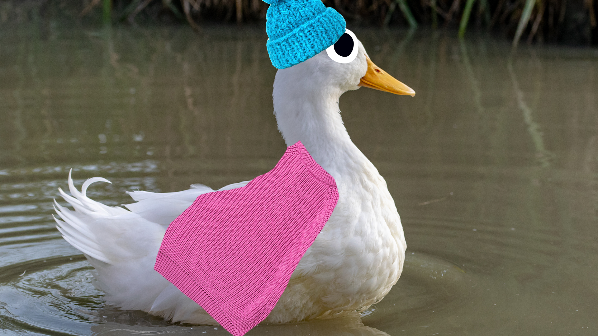 A duck in a hat and shawl