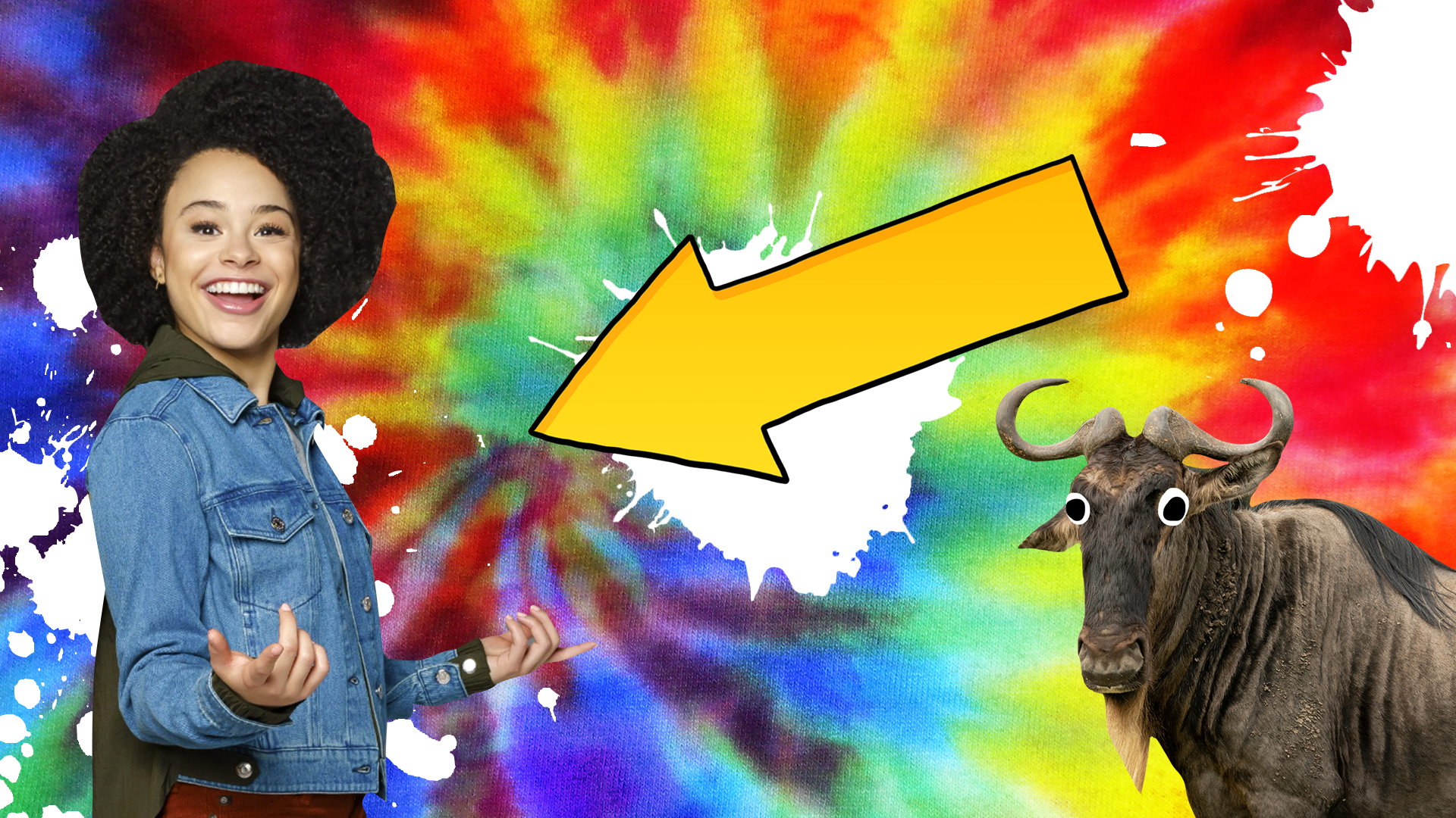 An arrow pointing to a member of the That Girl Lay Lay cast, alongside a water buffalo with big horns