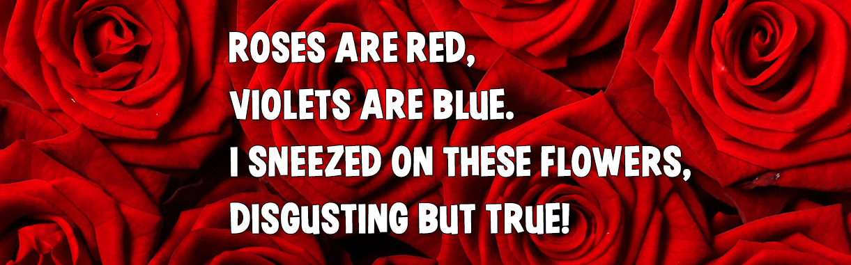 15 Funny Unromantic Valentine's Poems! | Valentines Day | Poems on ...