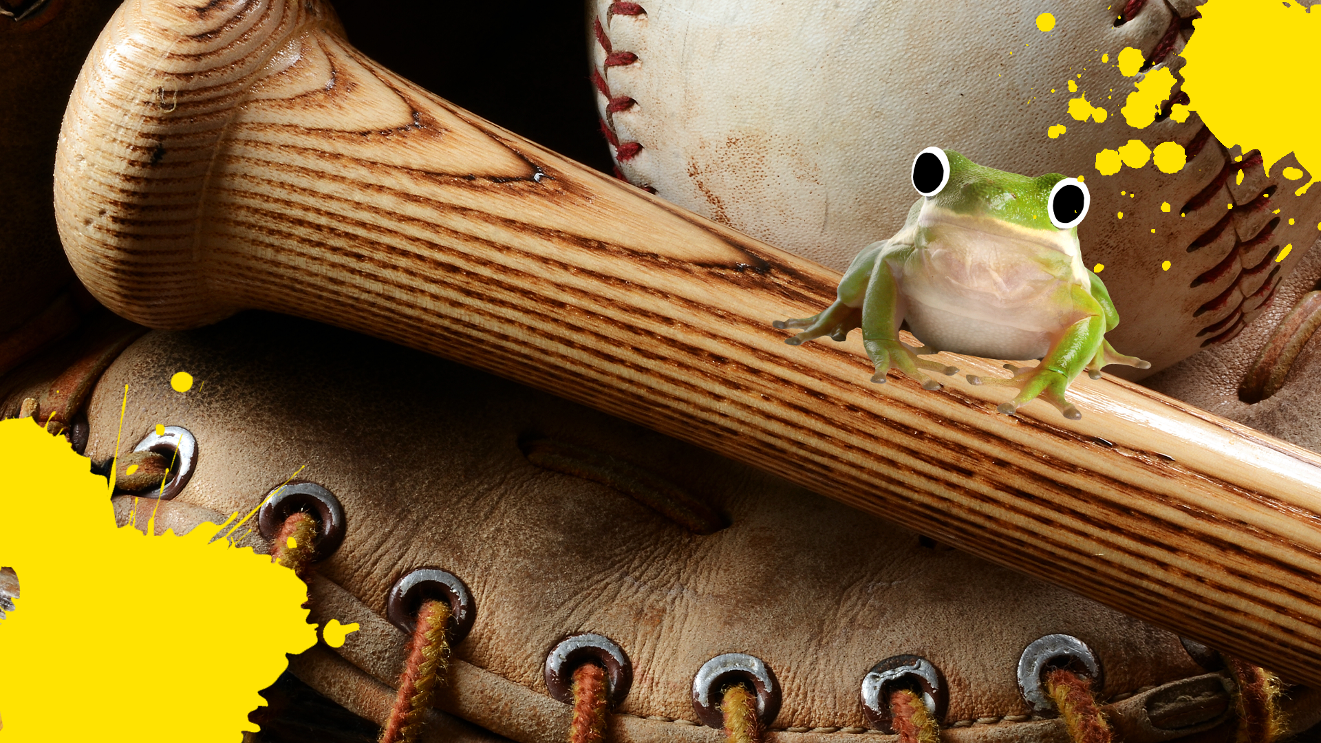 Baseball bat and glove with frog and splat