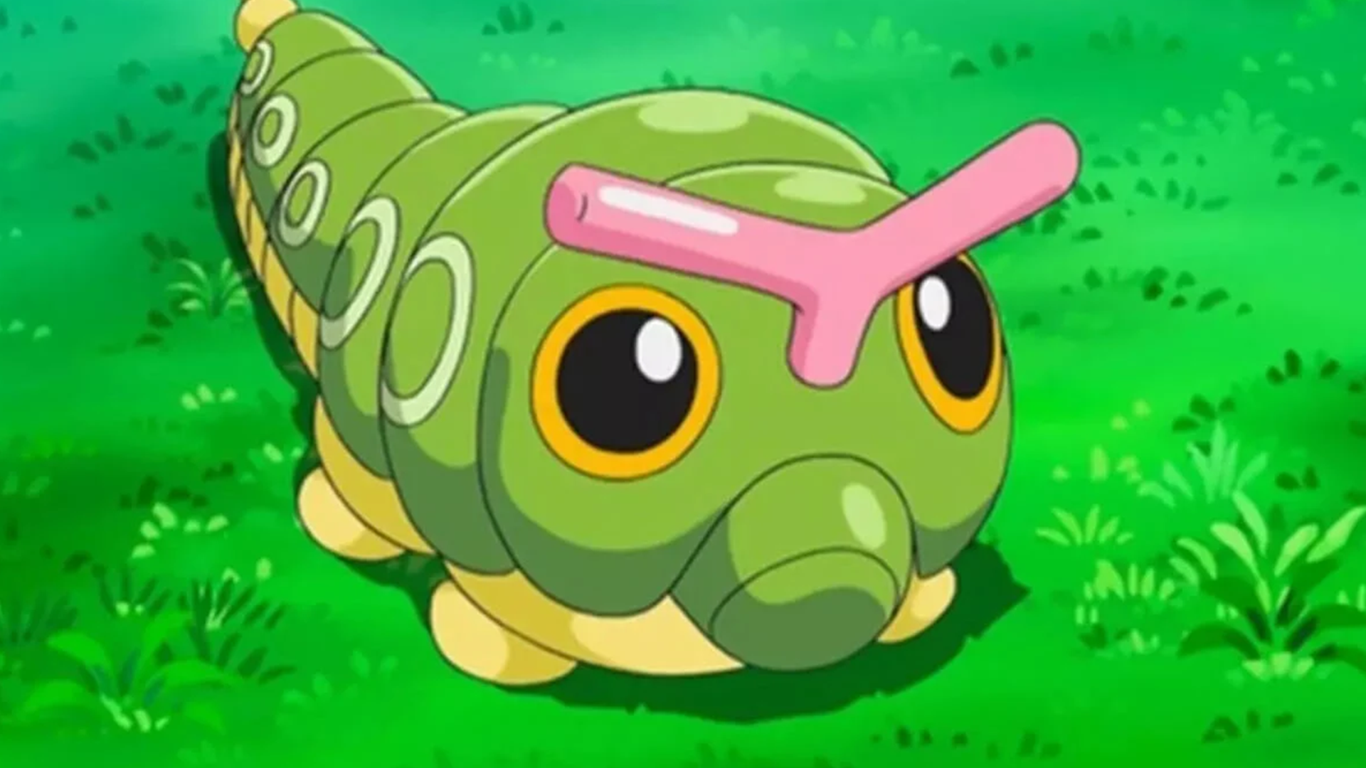 A caterpie