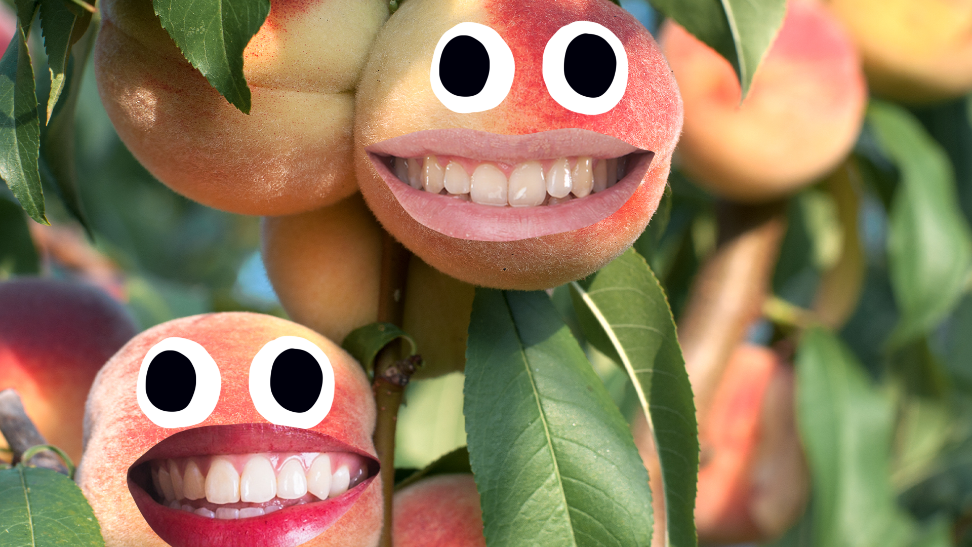 Some peaches with goofy faces