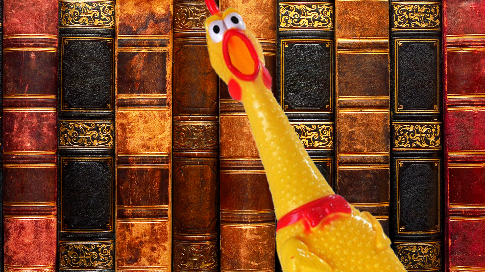 Some old books and a rubber chicken