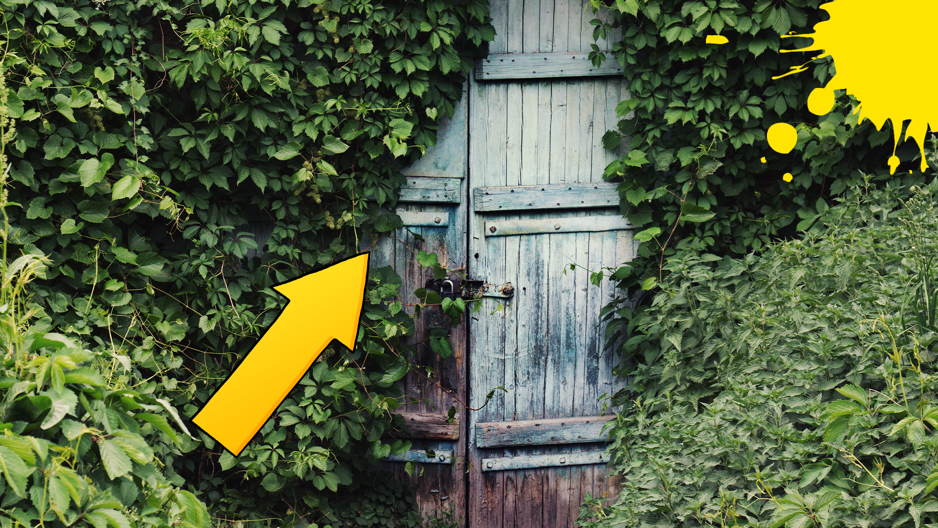 A secret garden door with an arrow and splat