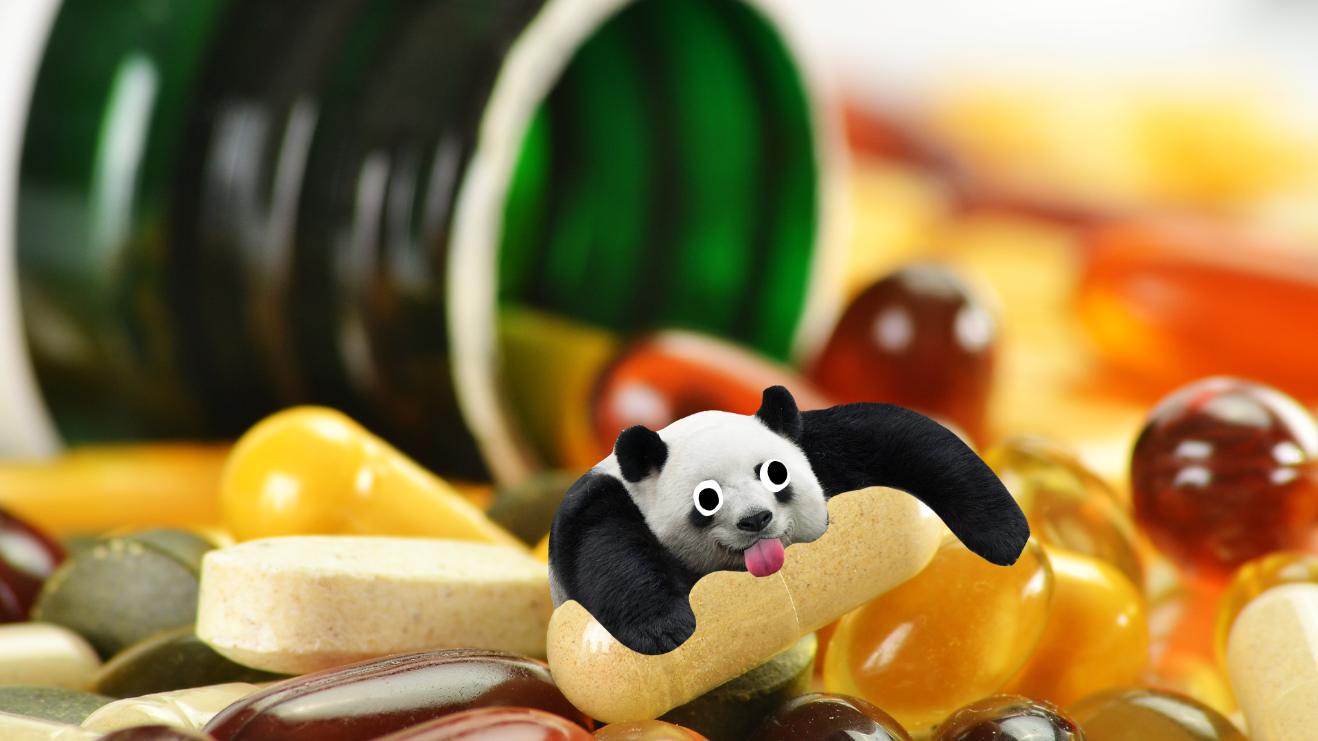 Derpy panda and vitamin pills