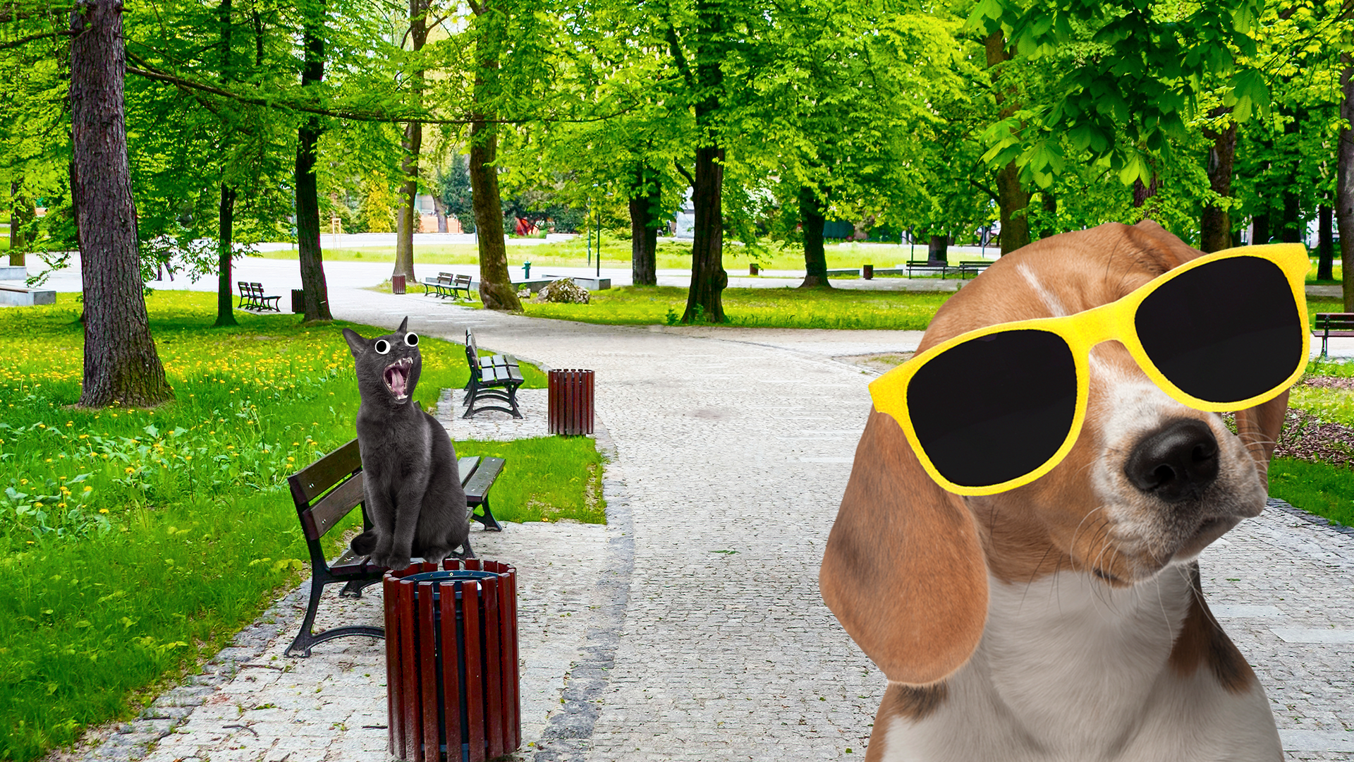 Cool dog and cat in the park