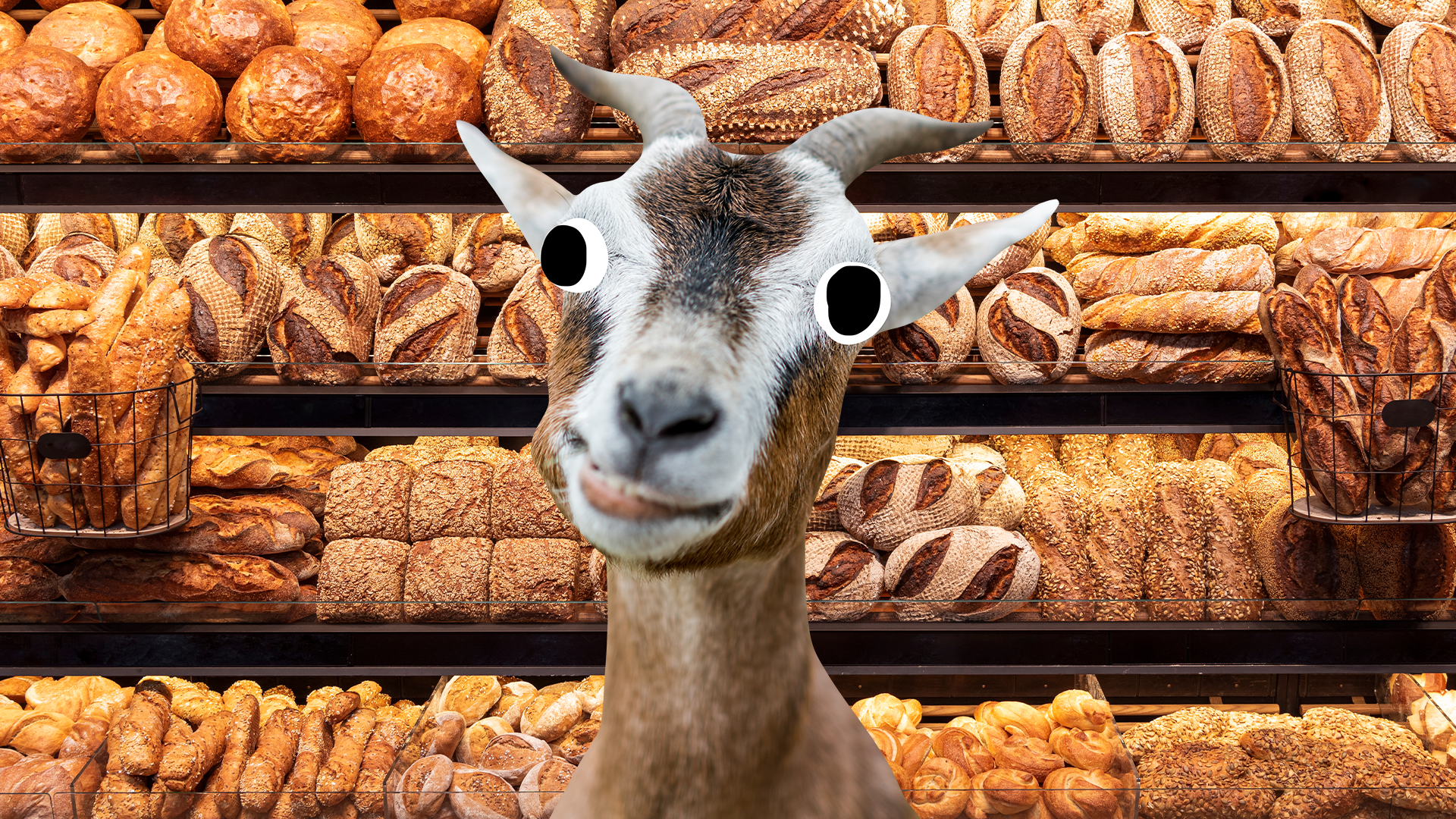 Derpy goat in a bakery