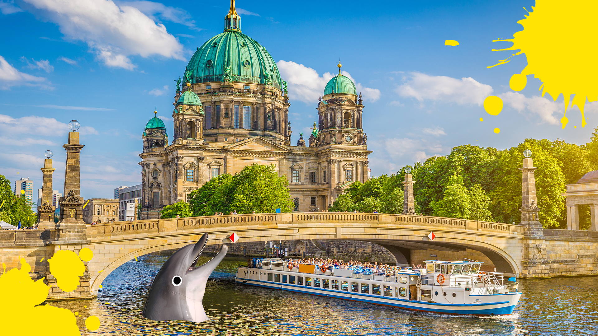 Berlin with splats and happy dolphin
