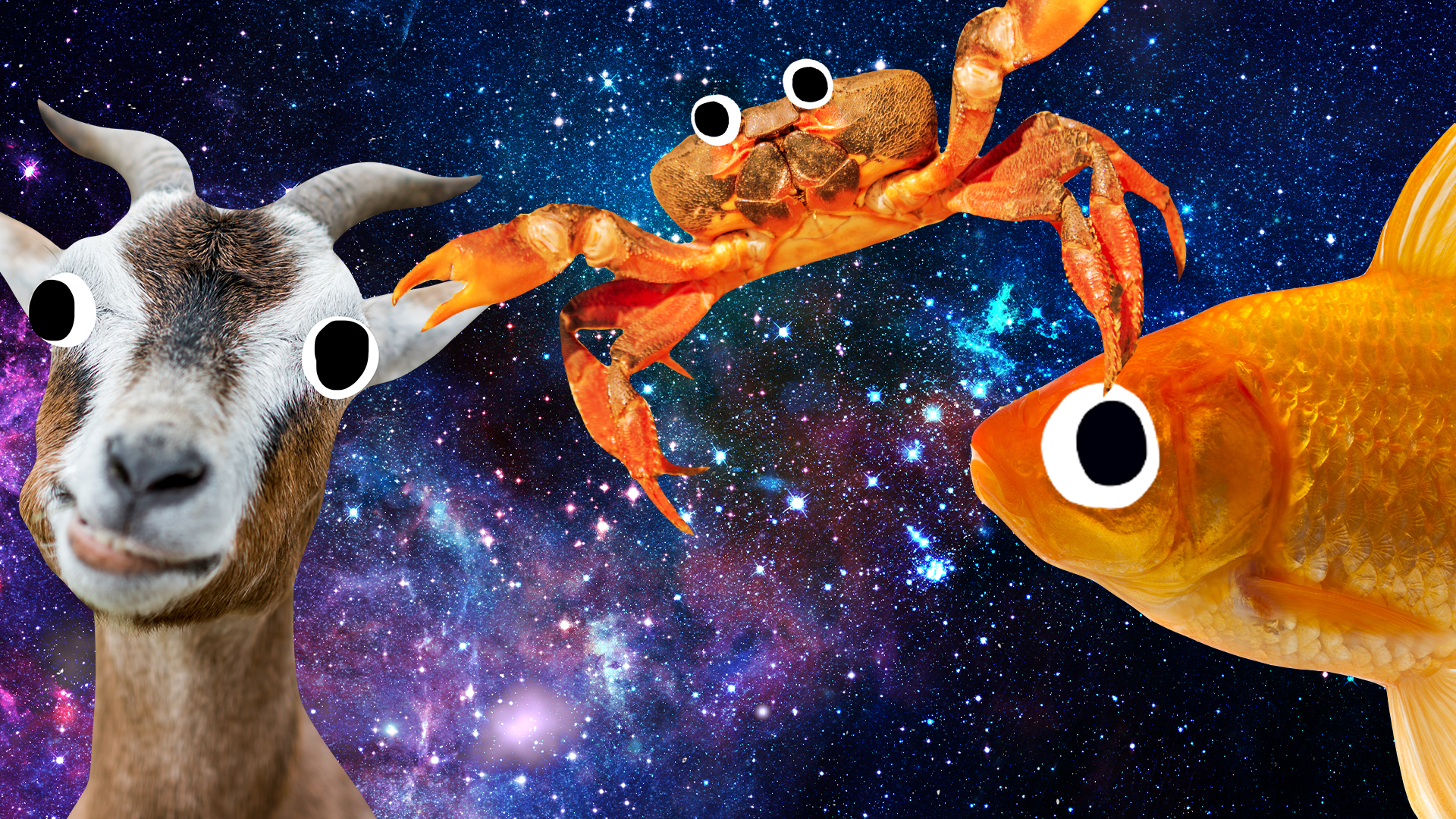 Beano animals on starry space background