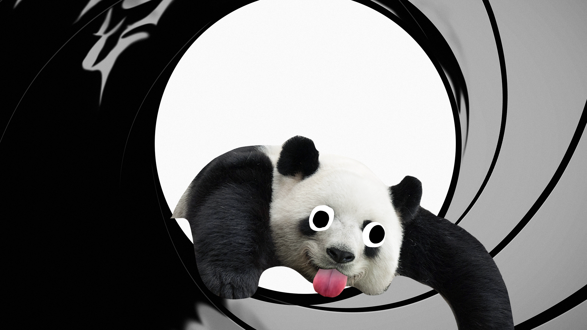Derpy panda in a James Bond frame